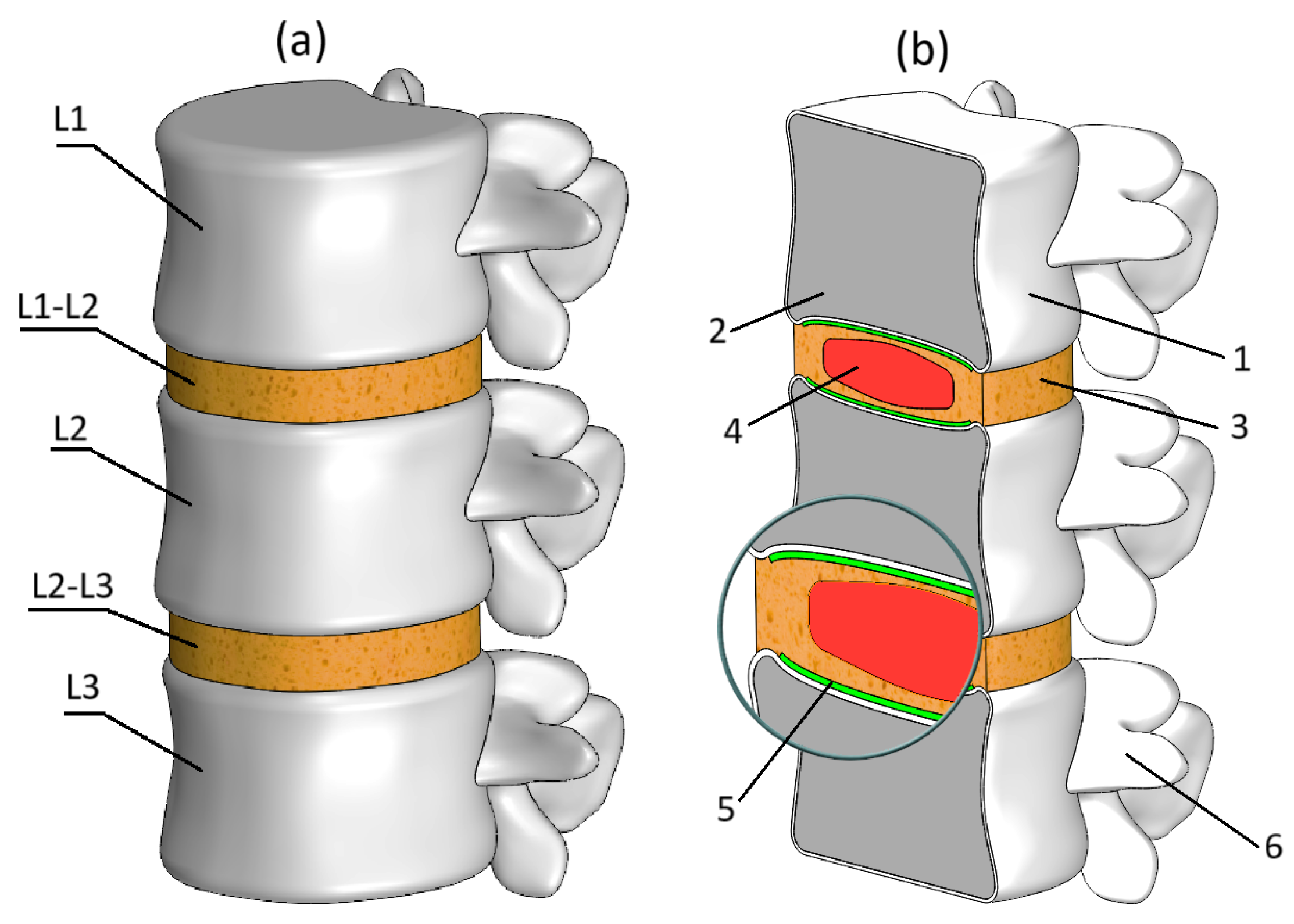 Bioengineering 13 00234 g001 Bioengineering 13 00234 g001