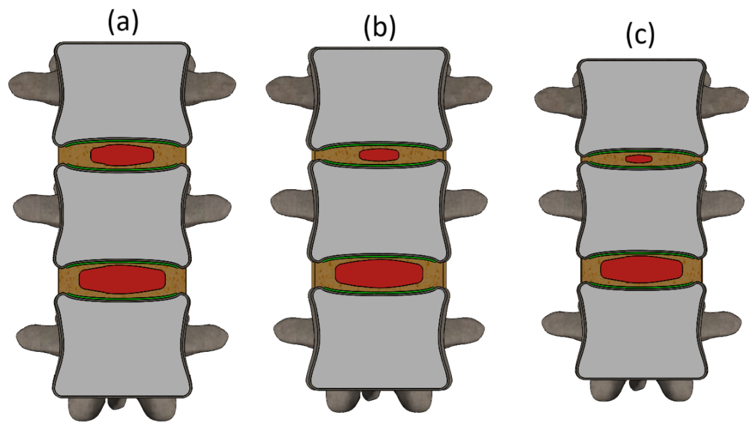 Bioengineering 13 00234 g002 Bioengineering 13 00234 g002