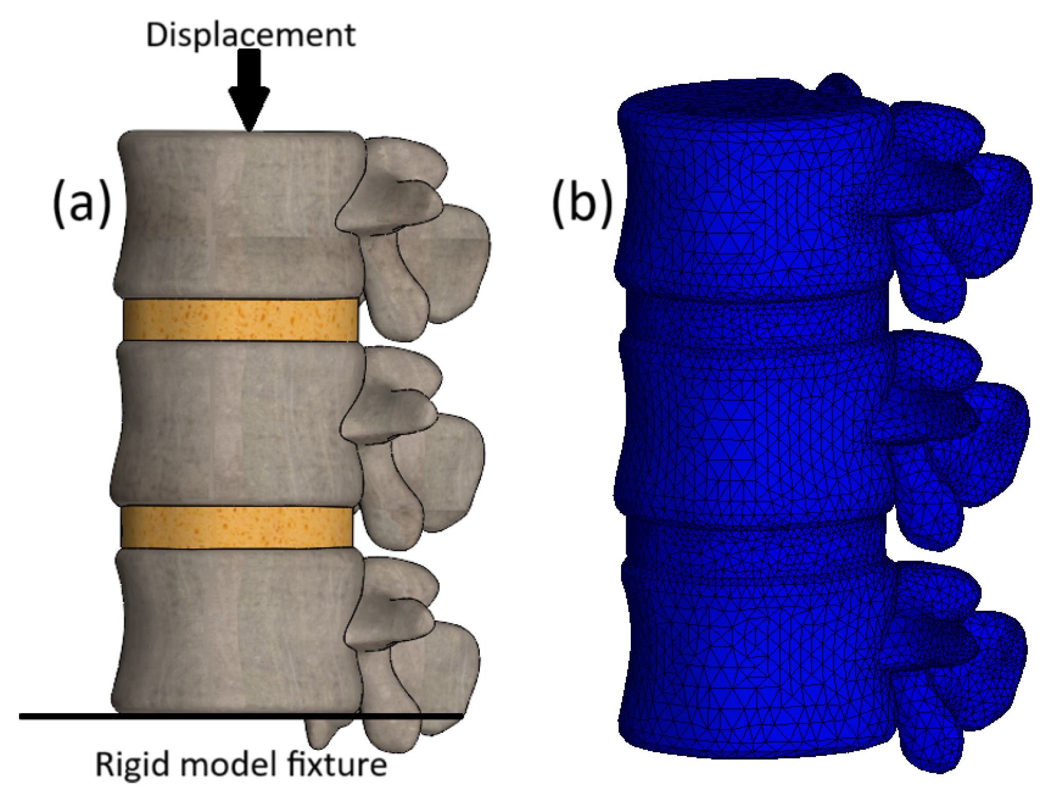 Bioengineering 13 00234 g003 Bioengineering 13 00234 g003