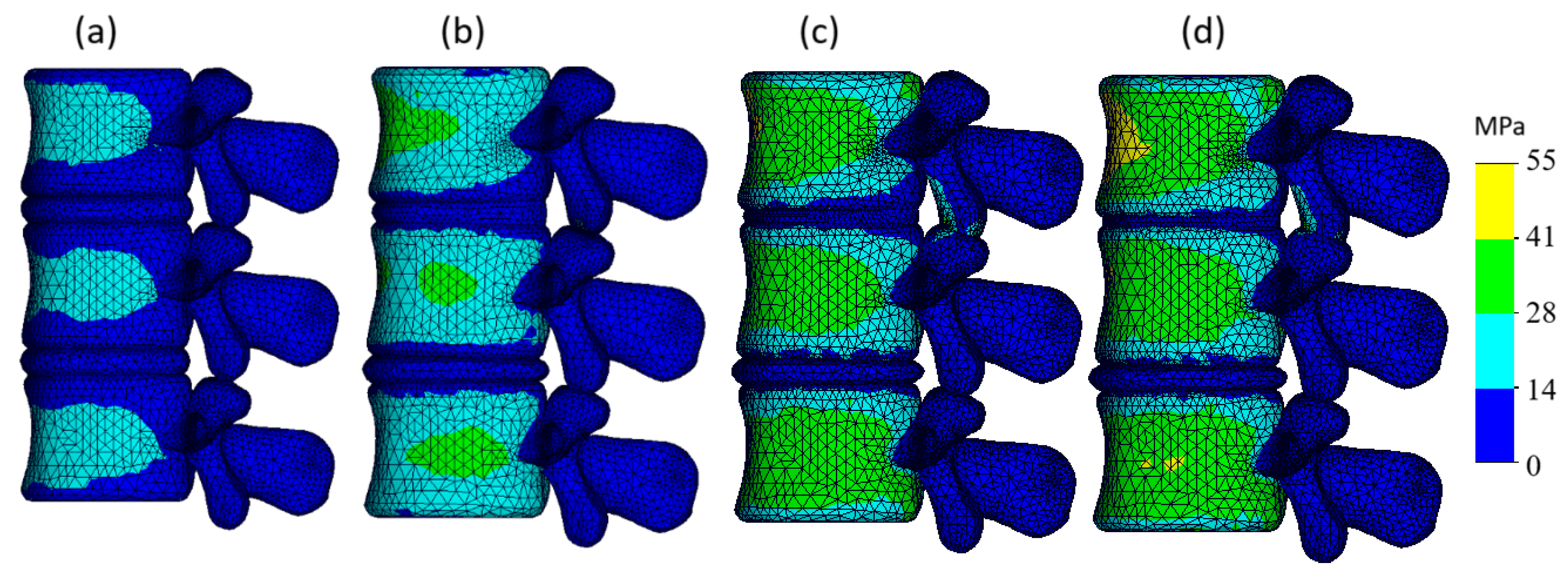 Bioengineering 13 00234 g004 Bioengineering 13 00234 g004