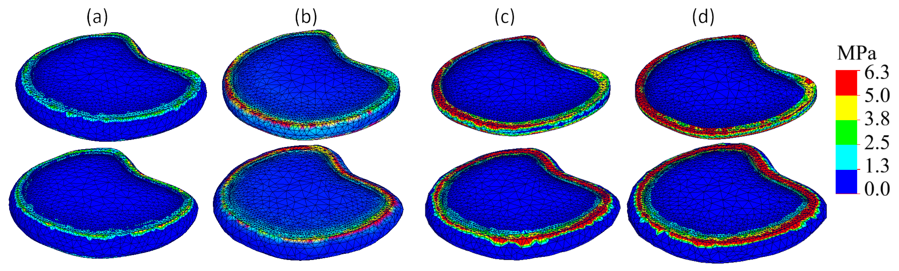 Bioengineering 13 00234 g007 Bioengineering 13 00234 g007