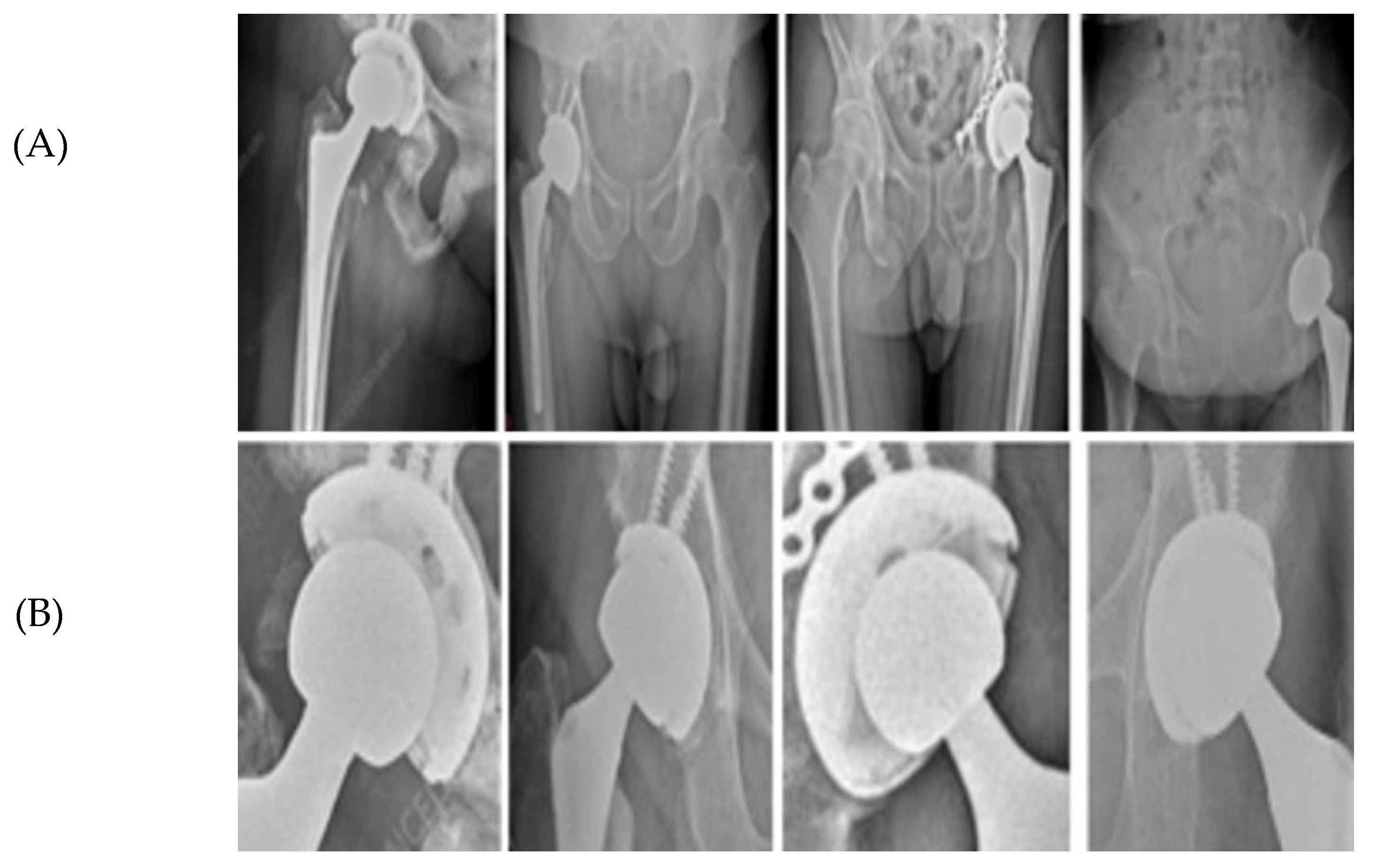 Bioengineering 13 00235 g003