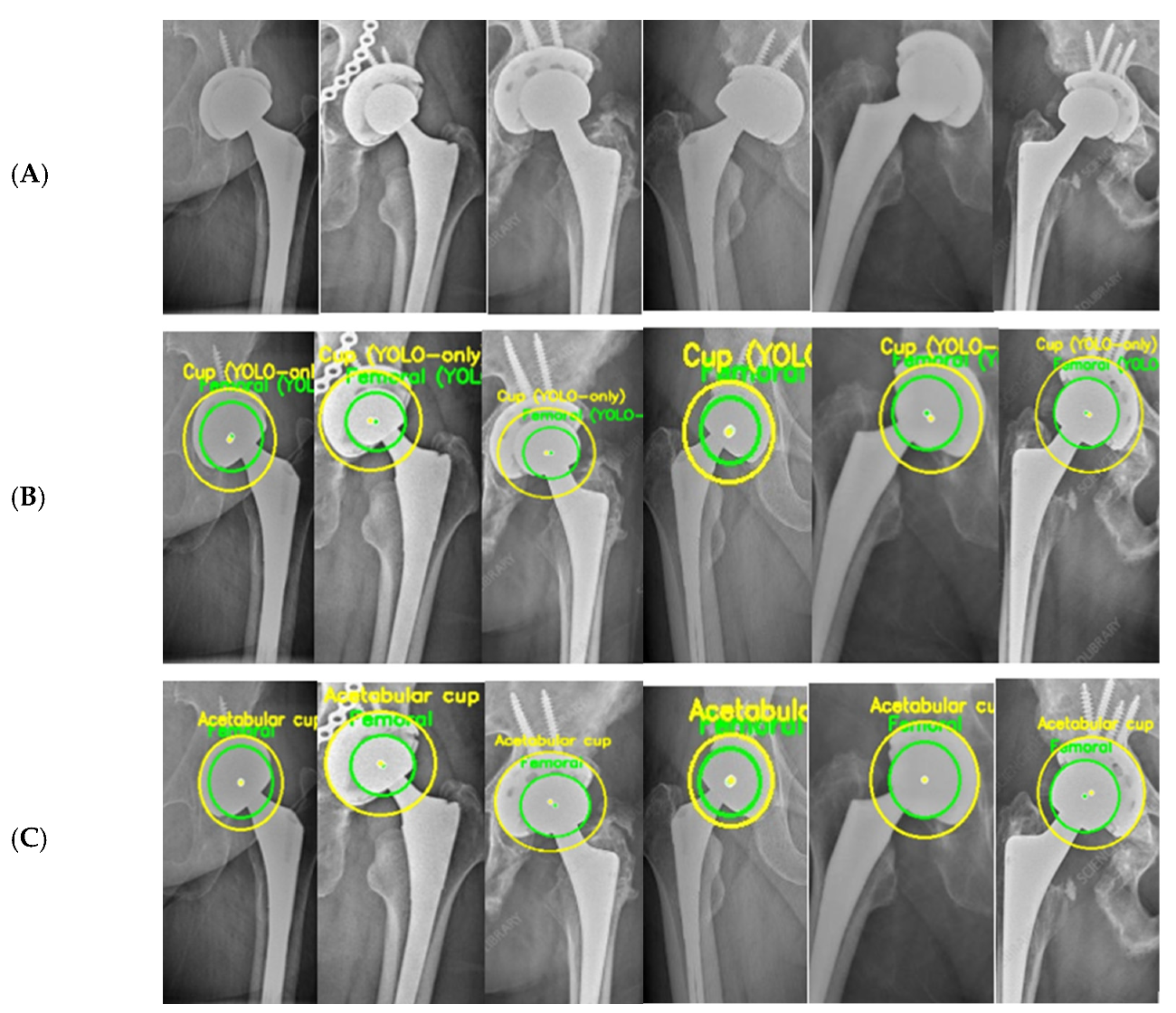 Bioengineering 13 00235 g005