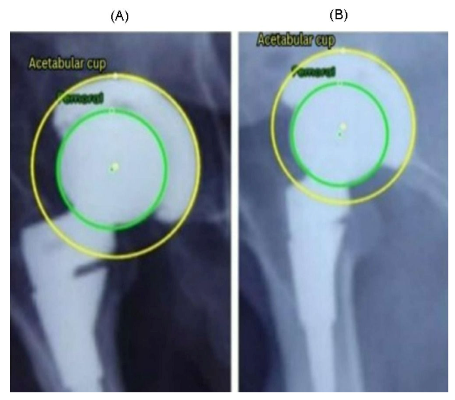 Bioengineering 13 00235 g012