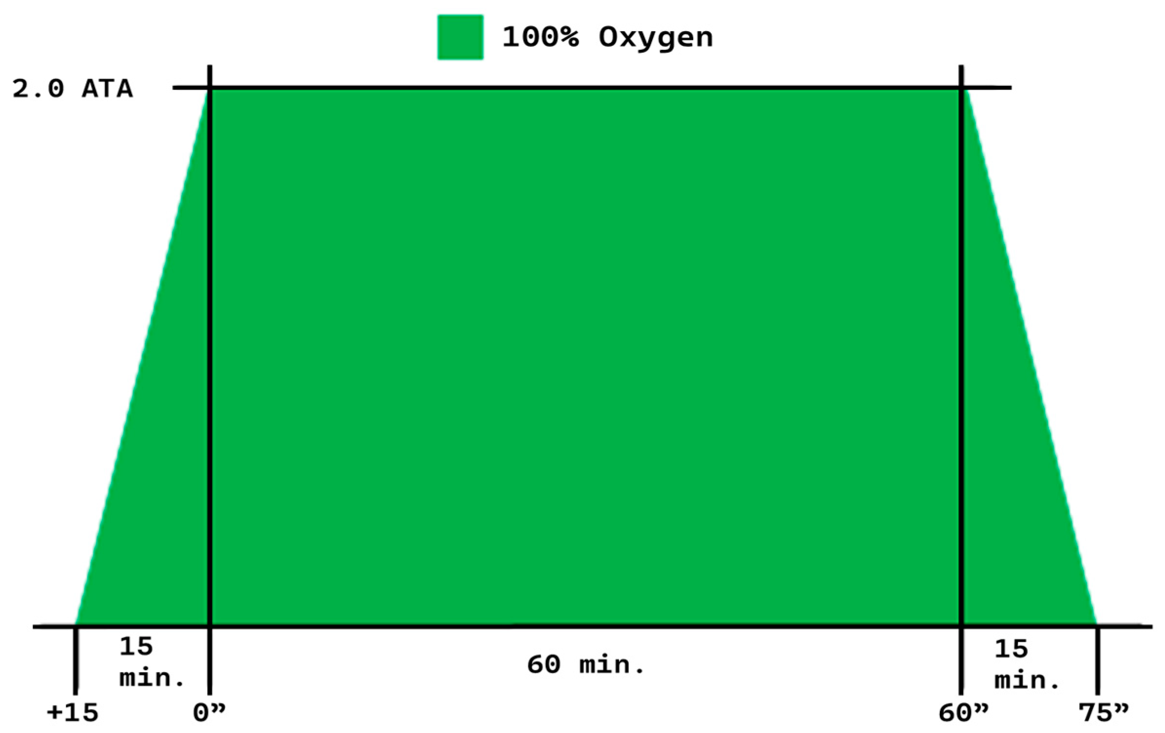 Bioengineering 13 00240 g001 Bioengineering 13 00240 g001
