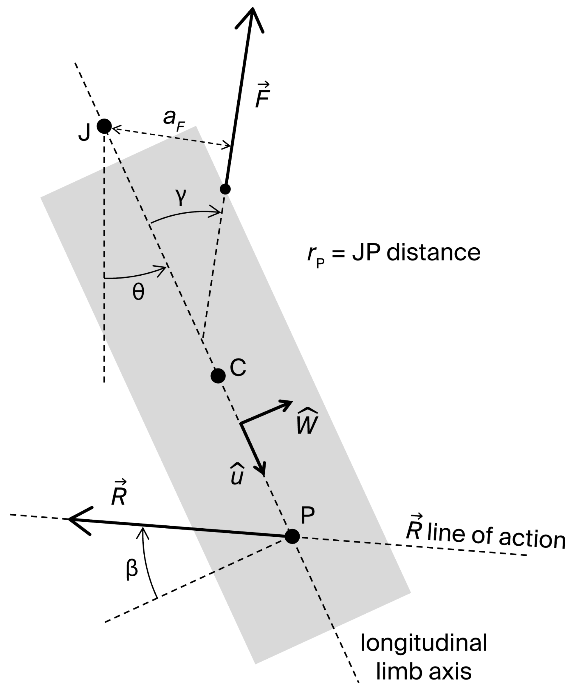 Bioengineering 13 00270 g001