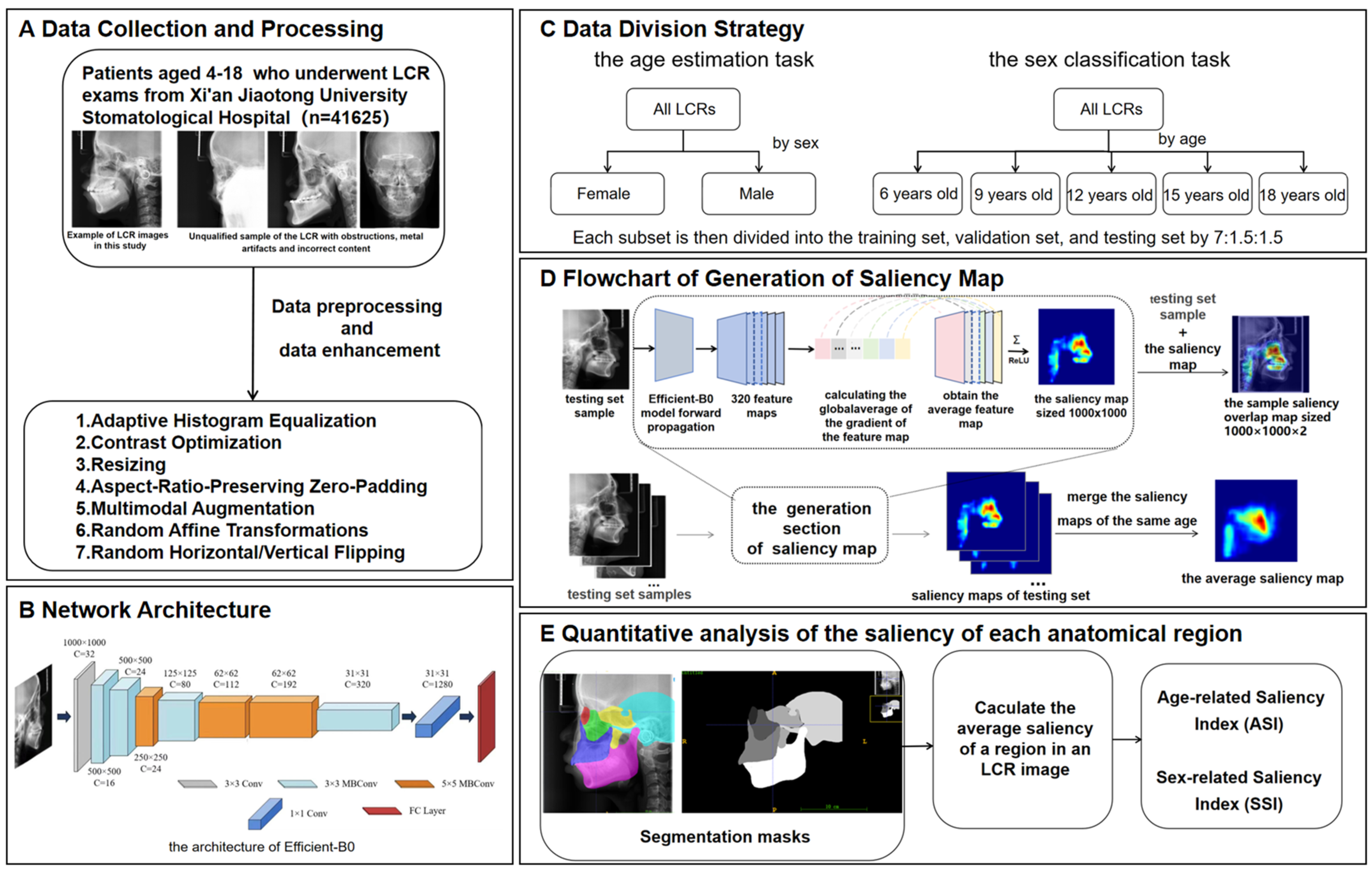Bioengineering 13 00277 g001