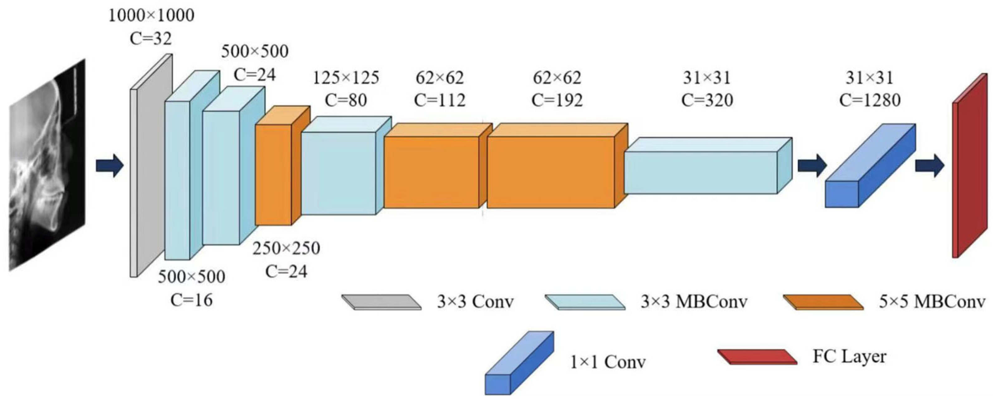 Bioengineering 13 00277 g004
