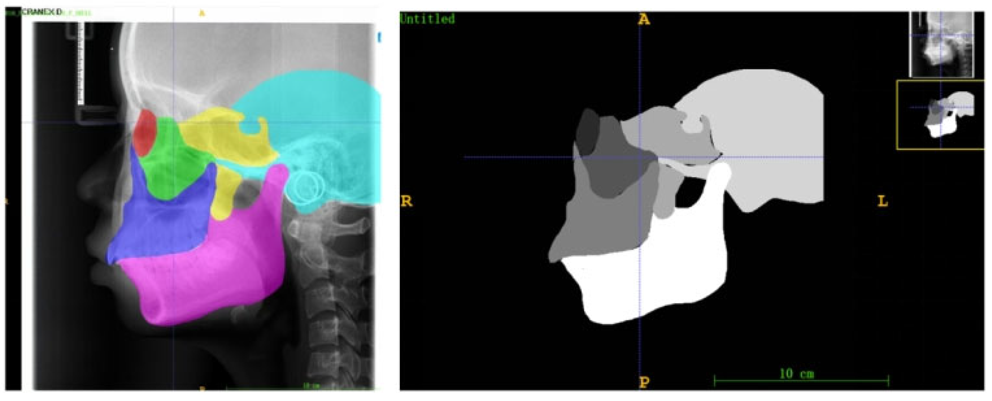 Bioengineering 13 00277 g005