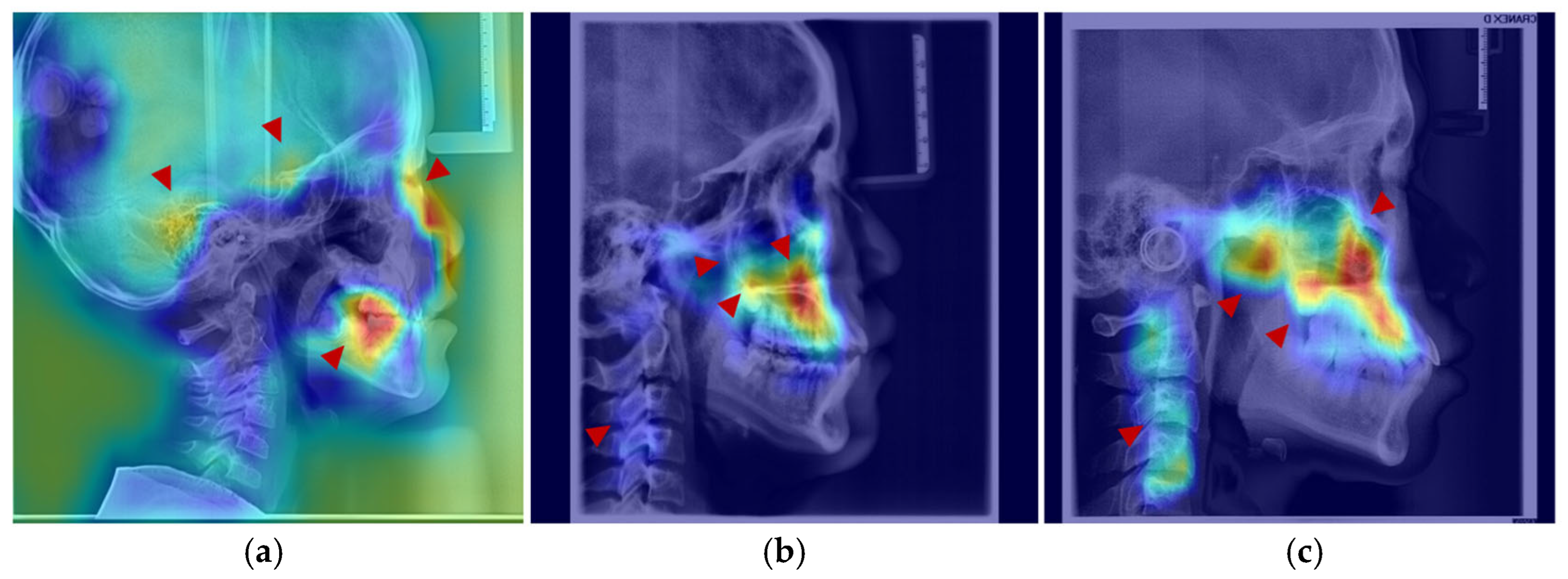 Bioengineering 13 00277 g007