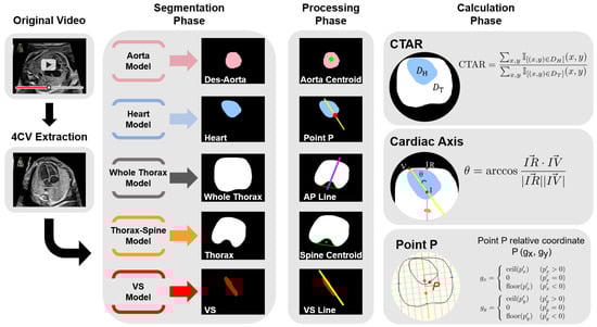 Bioengineering 13 00303 g001