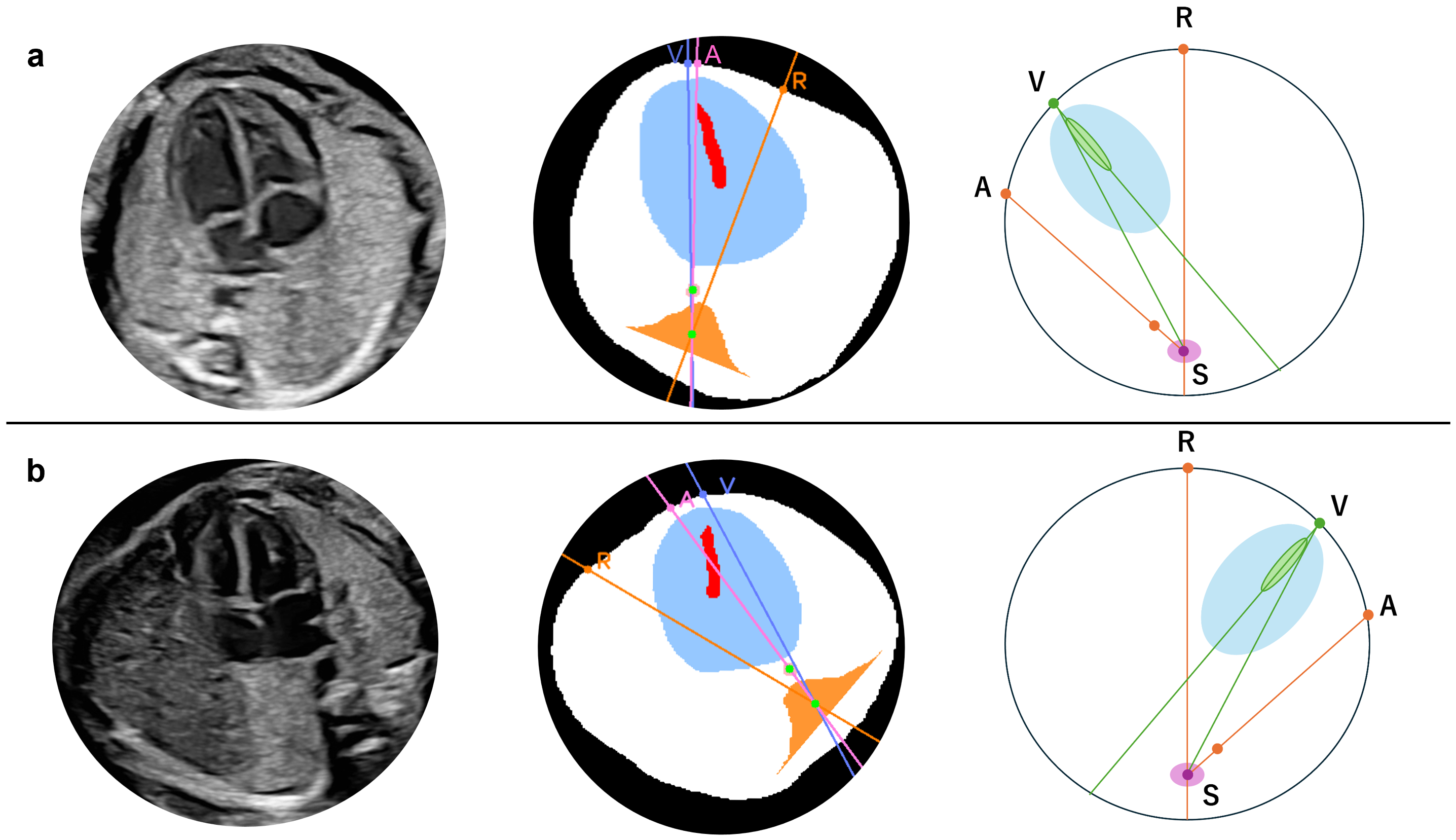 Bioengineering 13 00303 g003