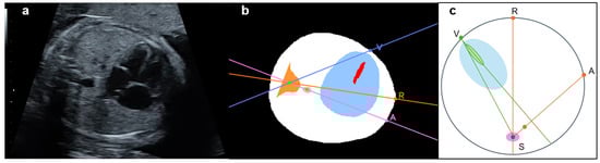 Bioengineering 13 00303 g004