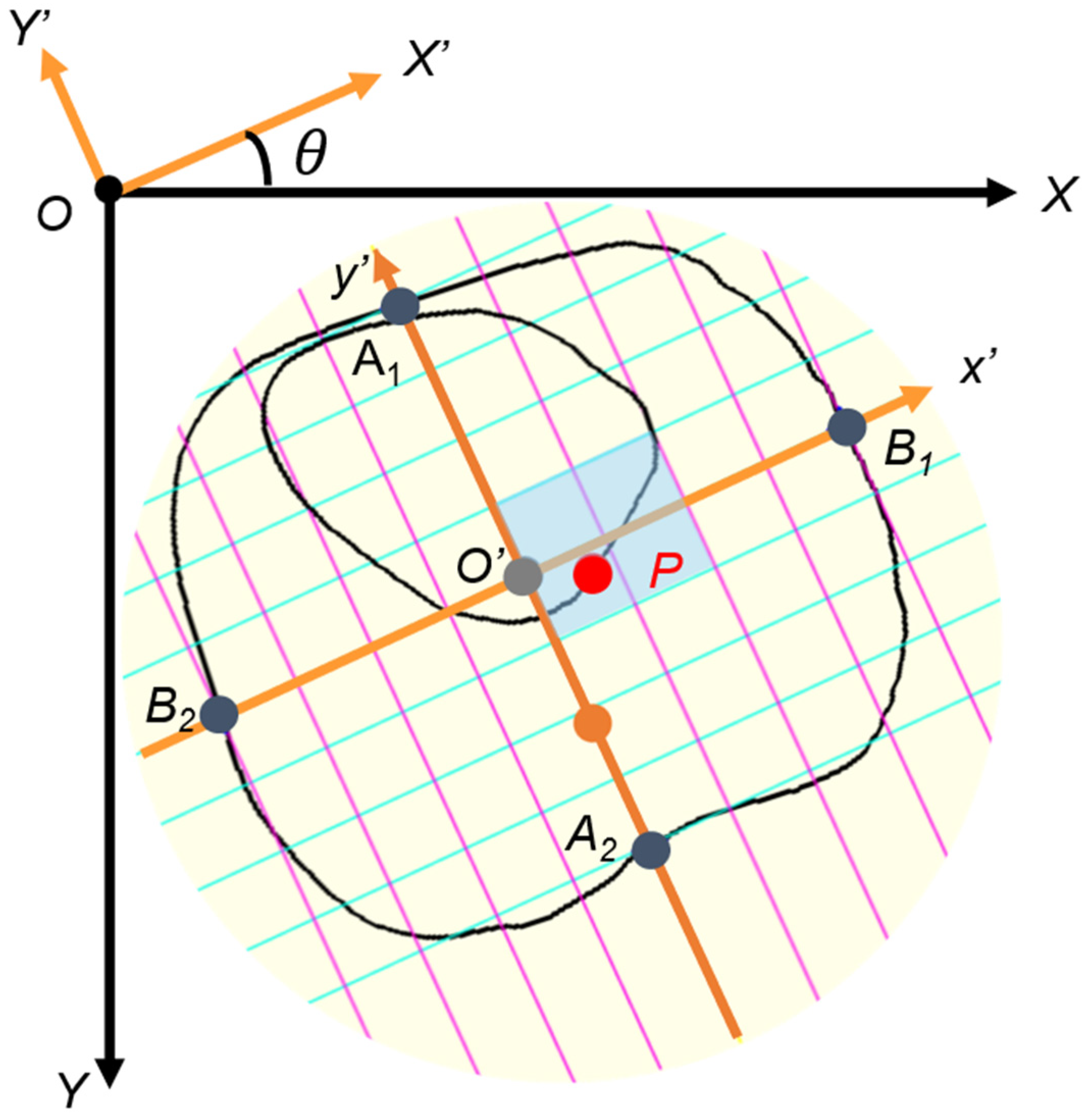 Bioengineering 13 00303 g005
