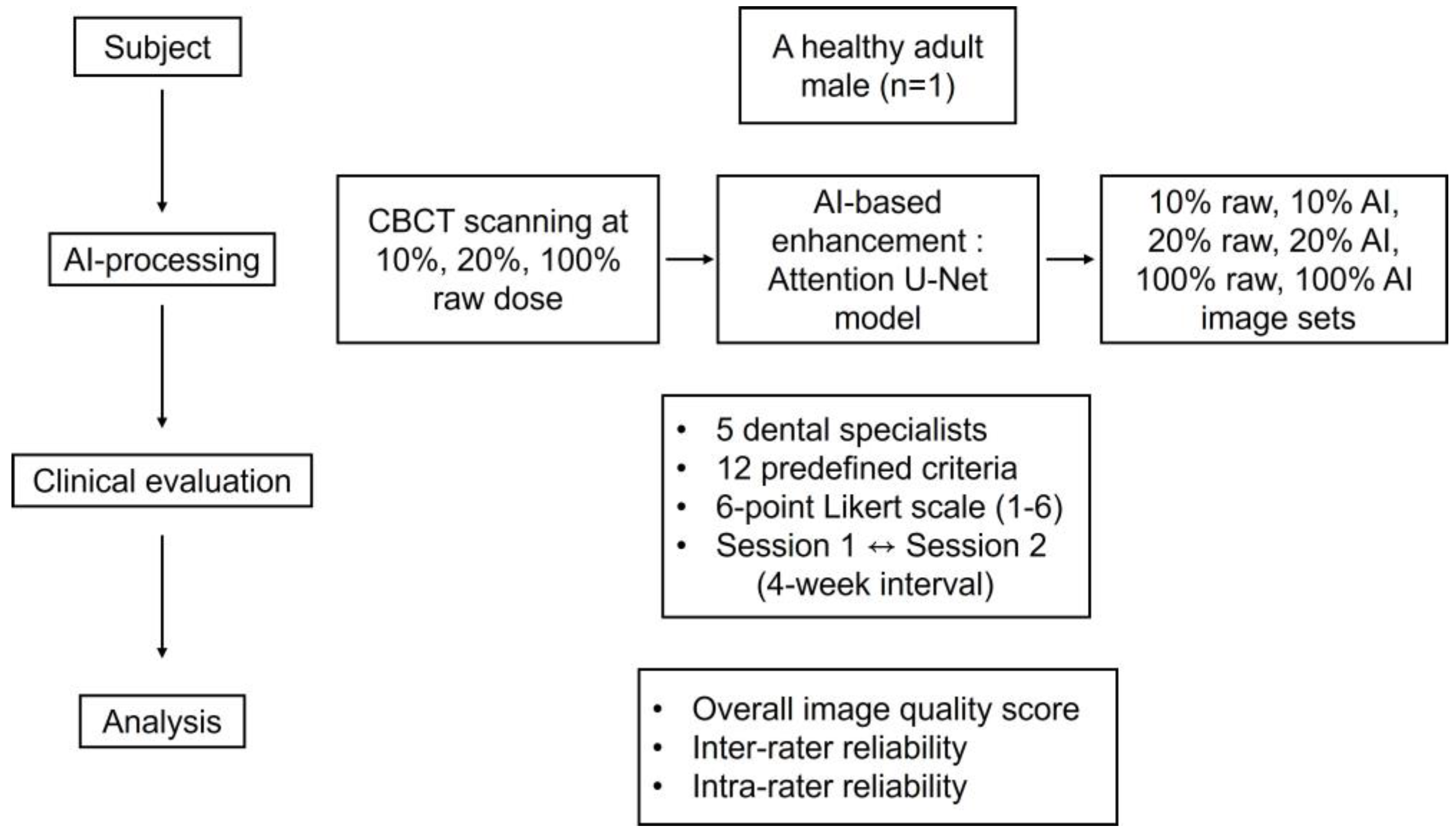 Bioengineering 13 00304 g001