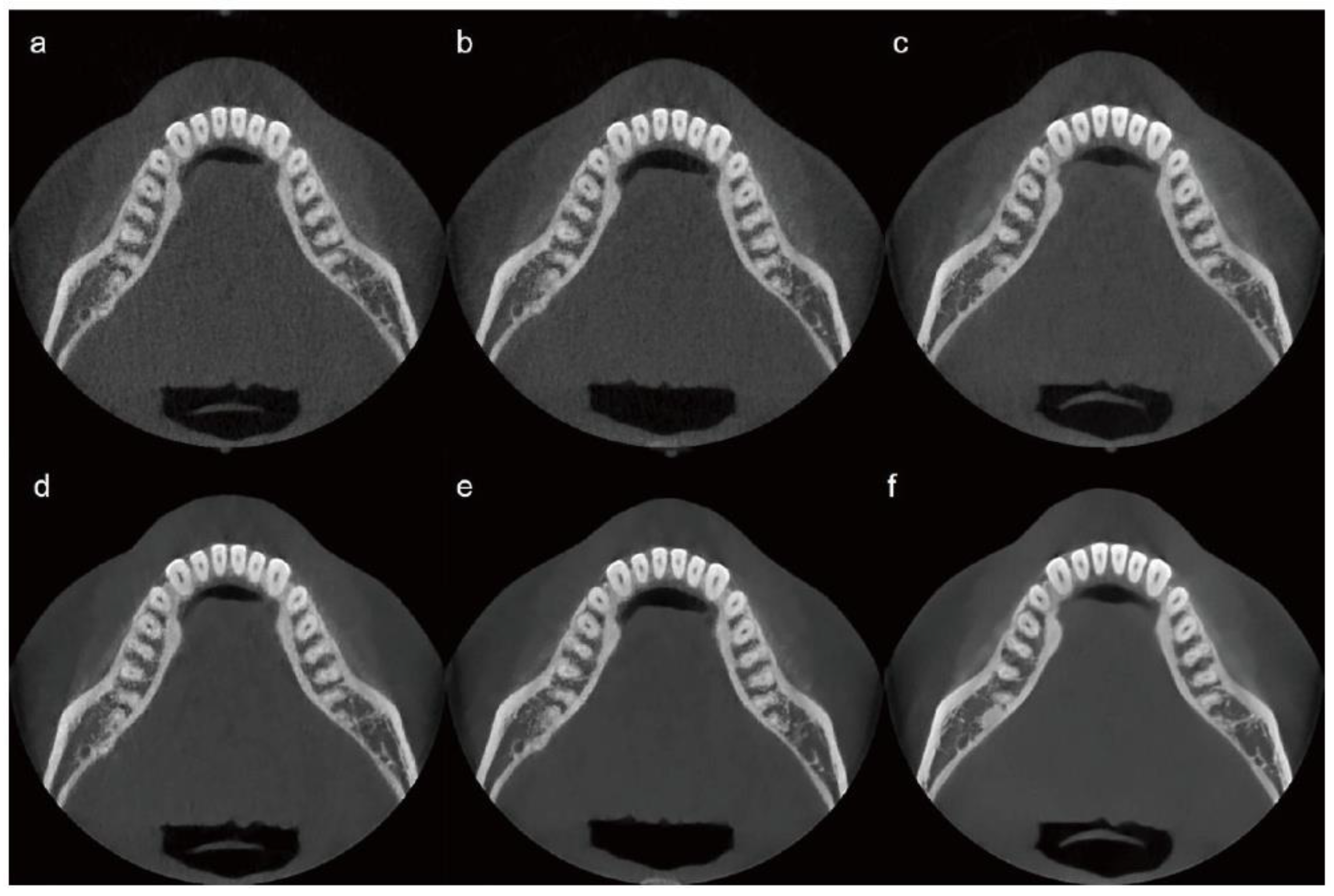 Bioengineering 13 00304 g002