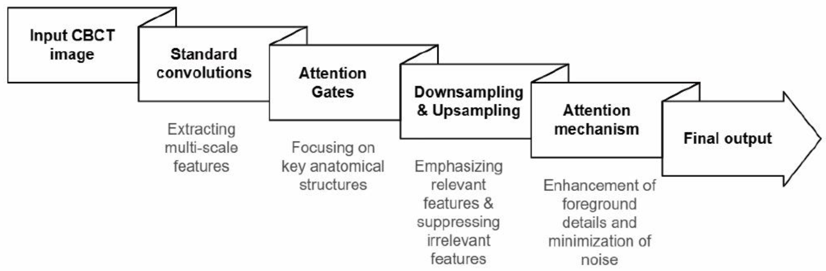 Bioengineering 13 00304 g003