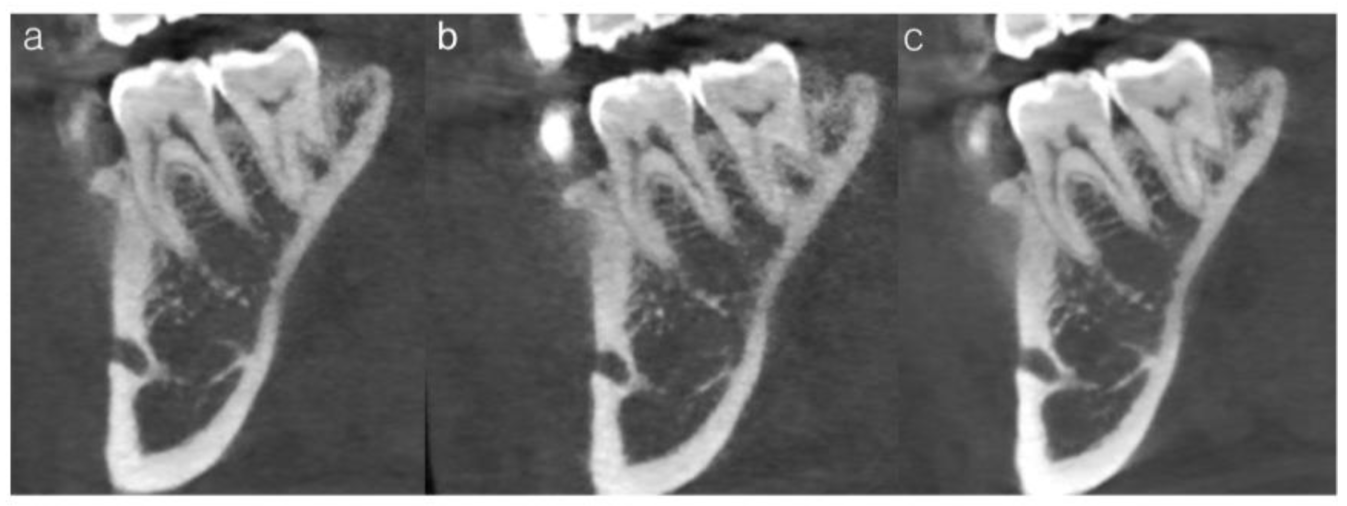 Bioengineering 13 00304 g004