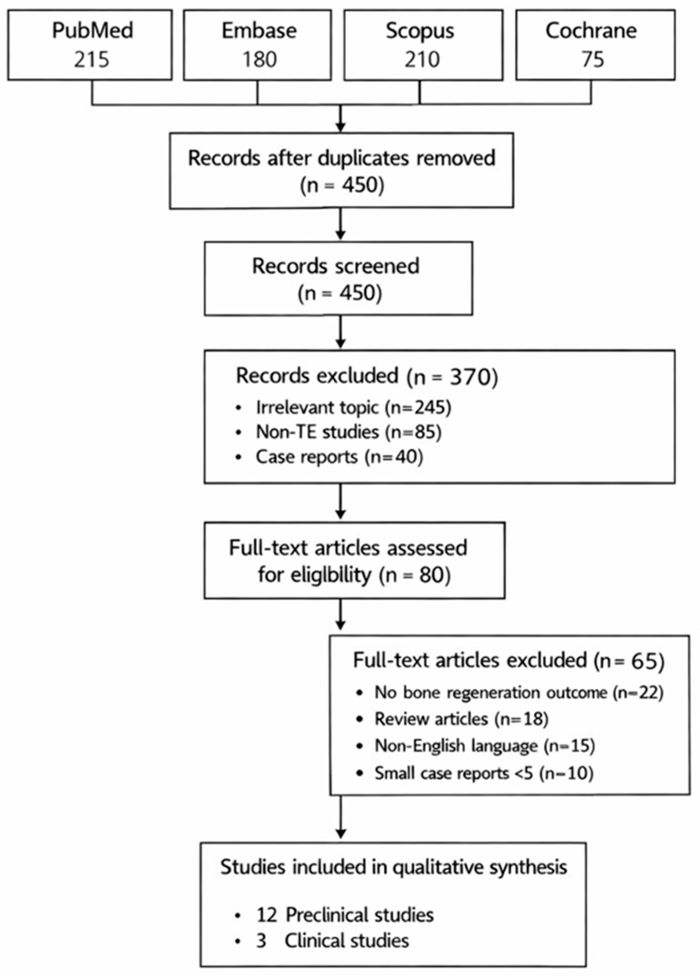 Bioengineering 13 00305 g001