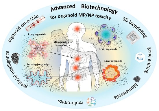 Bioengineering 13 00309 g001
