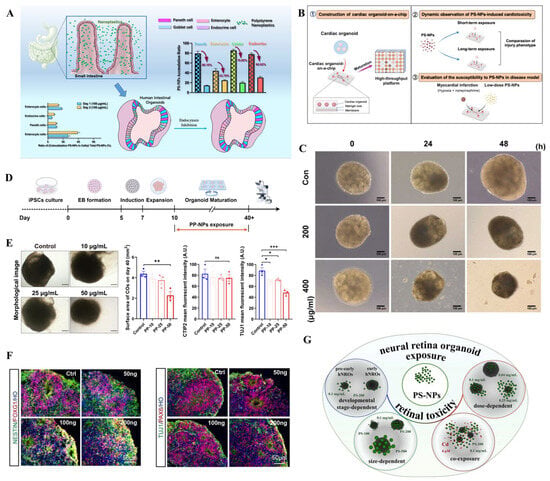 Bioengineering 13 00309 g003