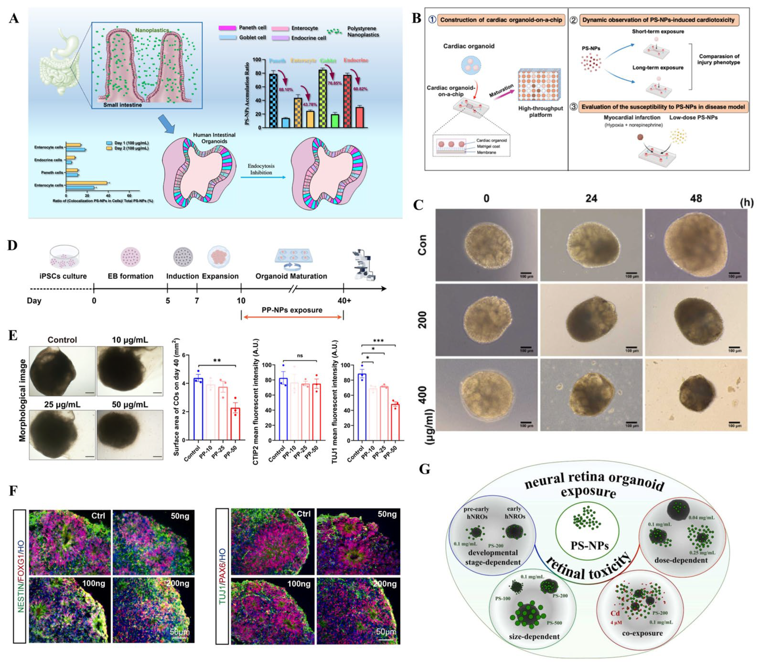 Bioengineering 13 00309 g003 Bioengineering 13 00309 g003
