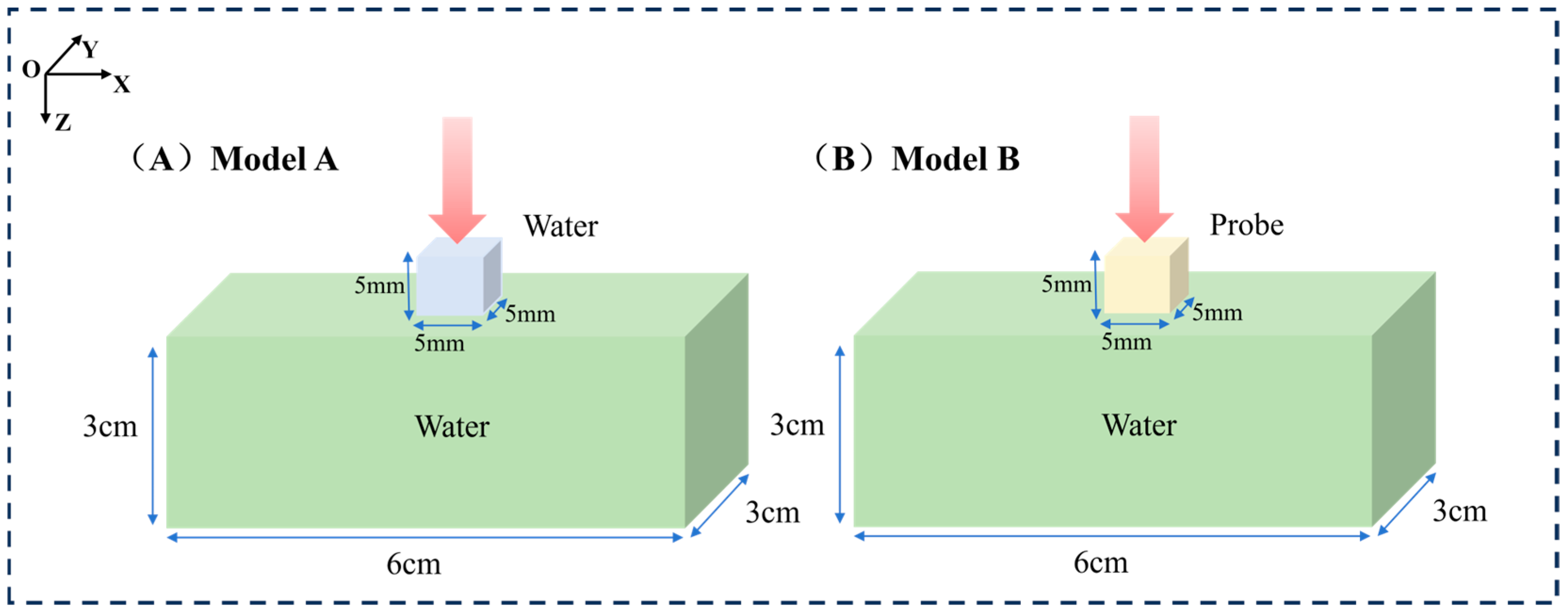 Bioengineering 13 00316 g001