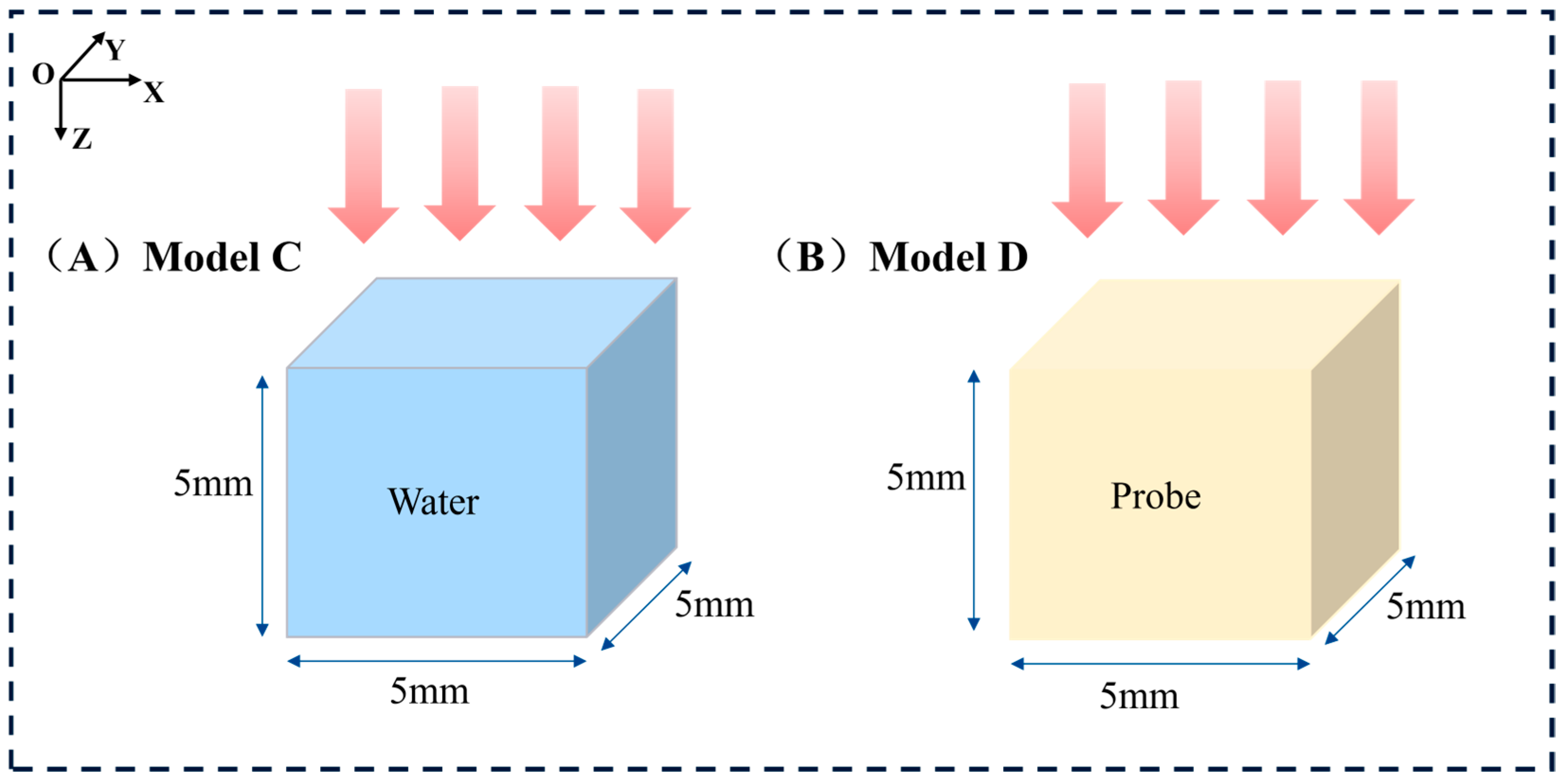 Bioengineering 13 00316 g003
