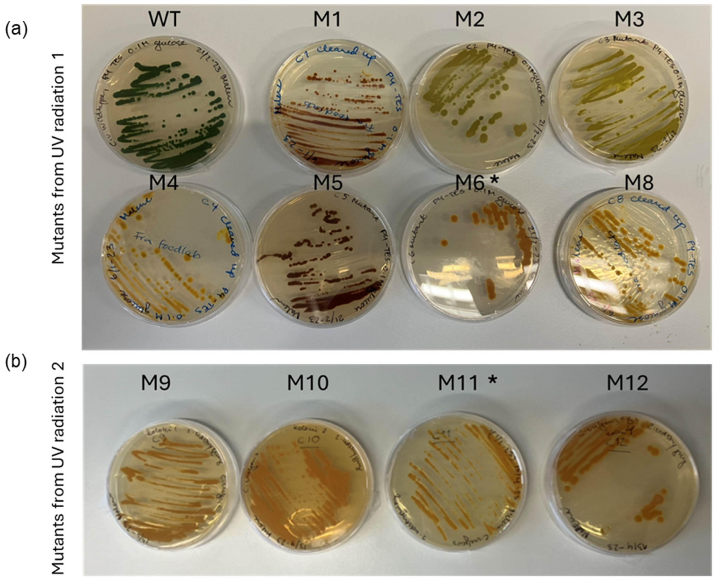 Bioengineering 13 00318 g002