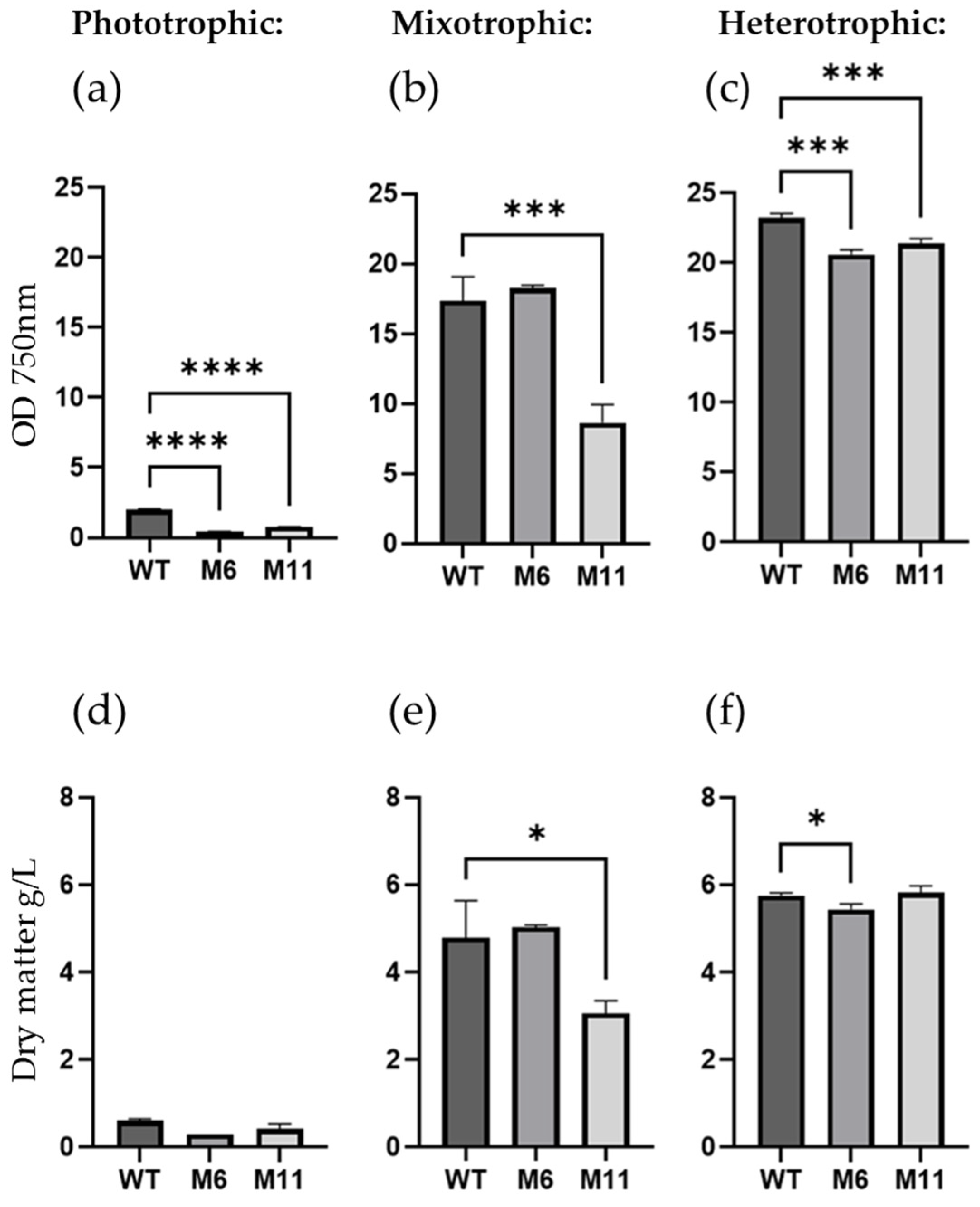 Bioengineering 13 00318 g004