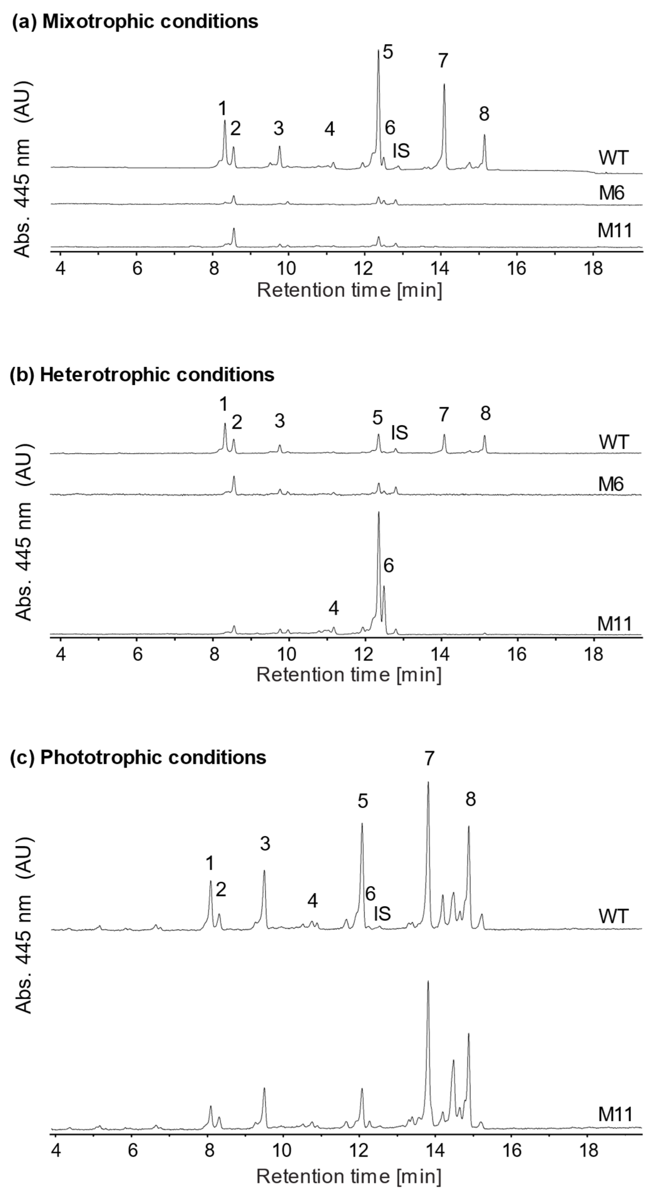 Bioengineering 13 00318 g006