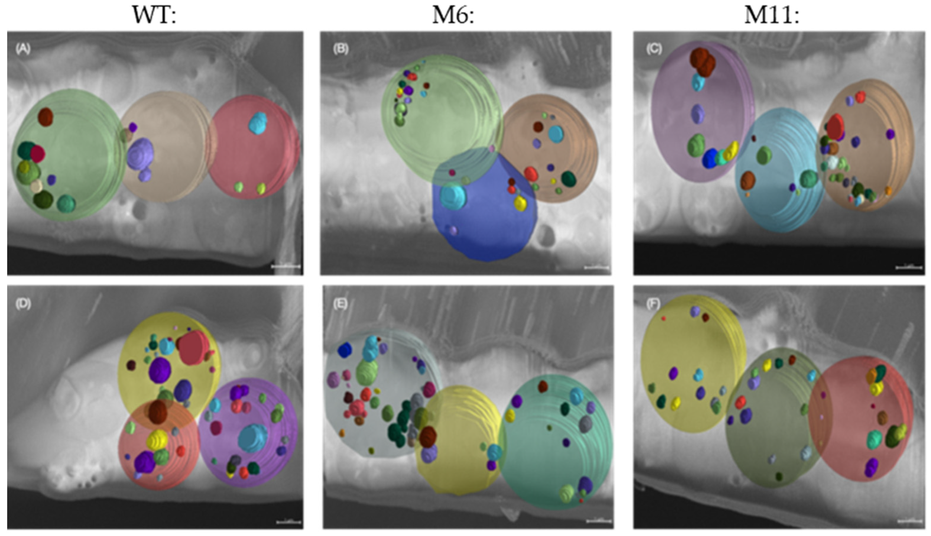 Bioengineering 13 00318 g009