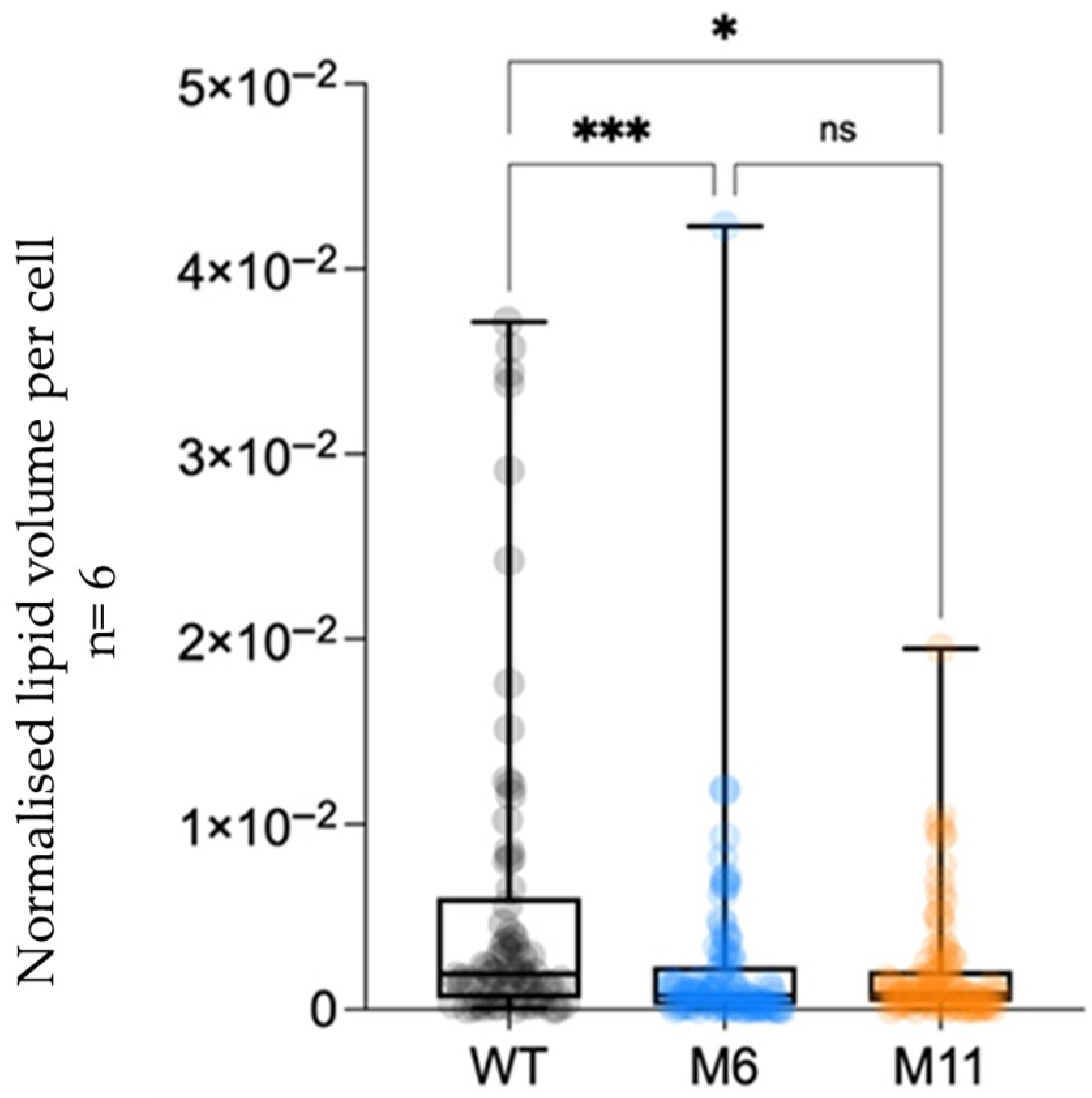 Bioengineering 13 00318 g010