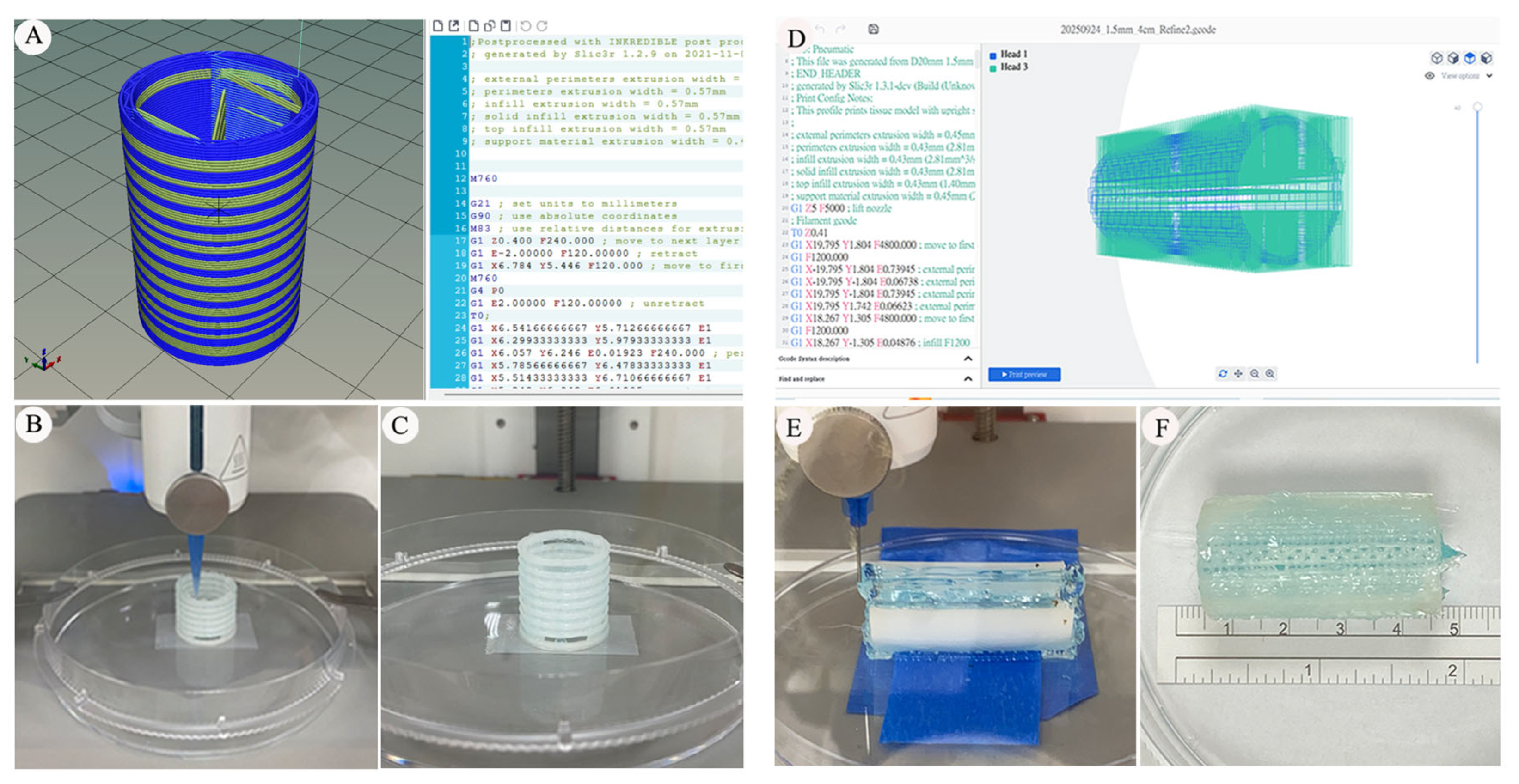Bioengineering 13 00324 g001 Bioengineering 13 00324 g001
