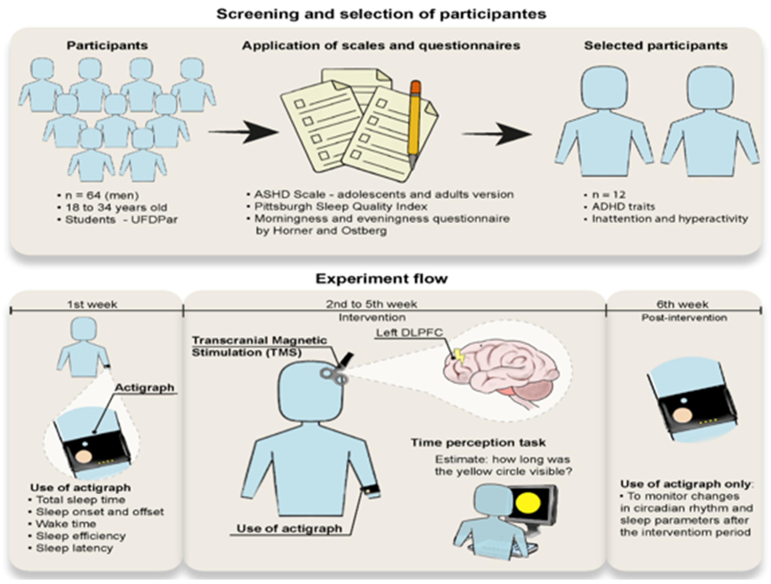 Bioengineering 13 00337 g001