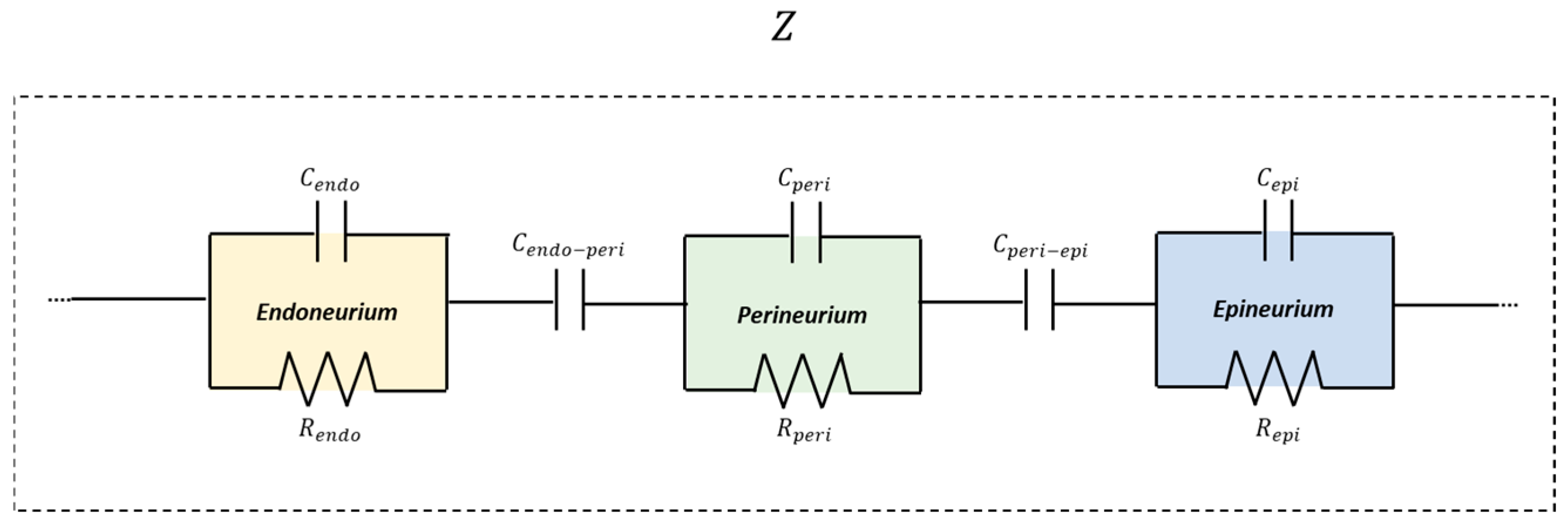 Bioengineering 13 00344 g005