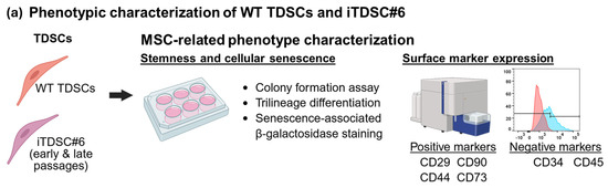 Bioengineering 13 00354 g001a Bioengineering 13 00354 g001a