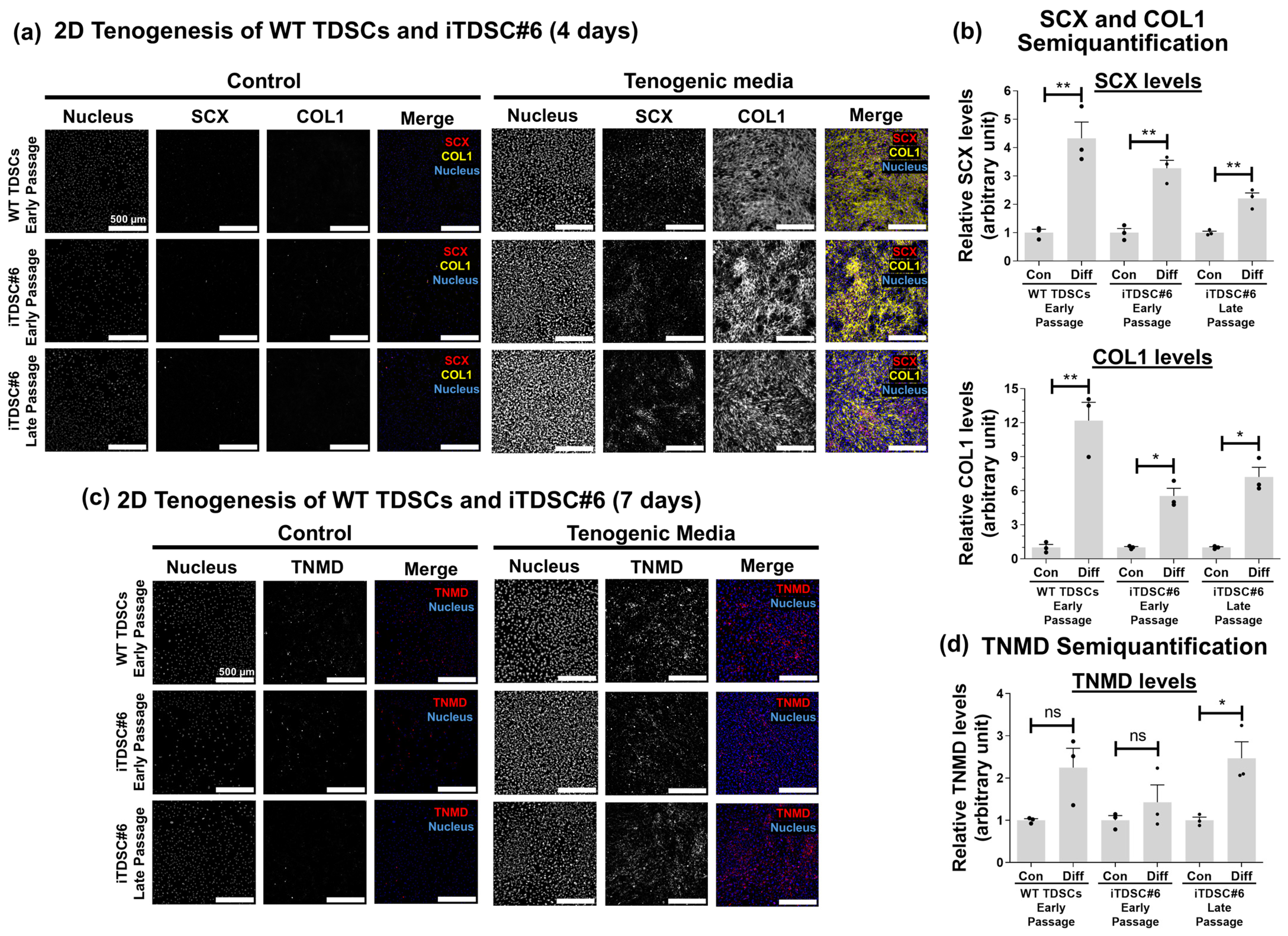 Bioengineering 13 00354 g002 Bioengineering 13 00354 g002