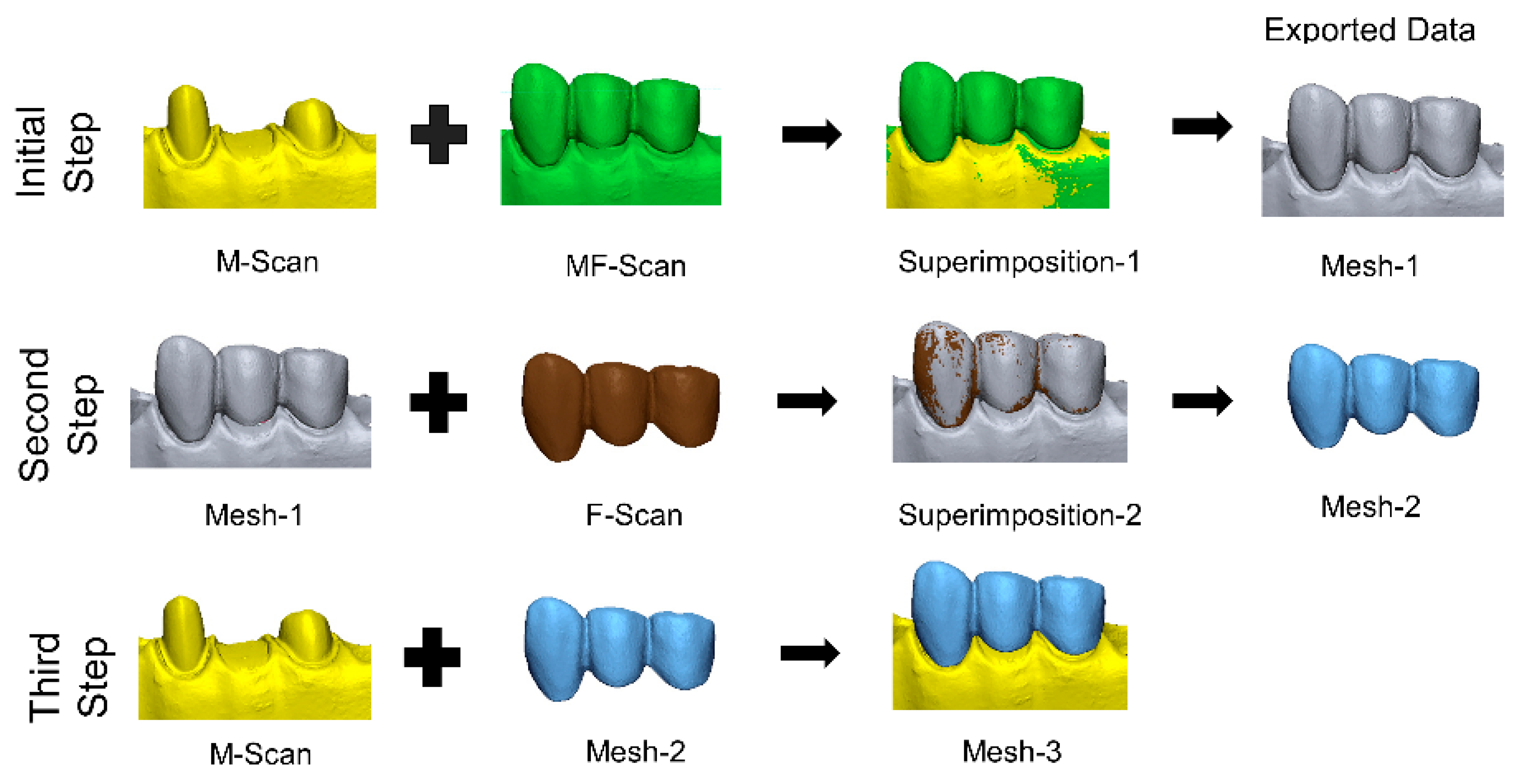 Bioengineering 13 00362 g001 Bioengineering 13 00362 g001