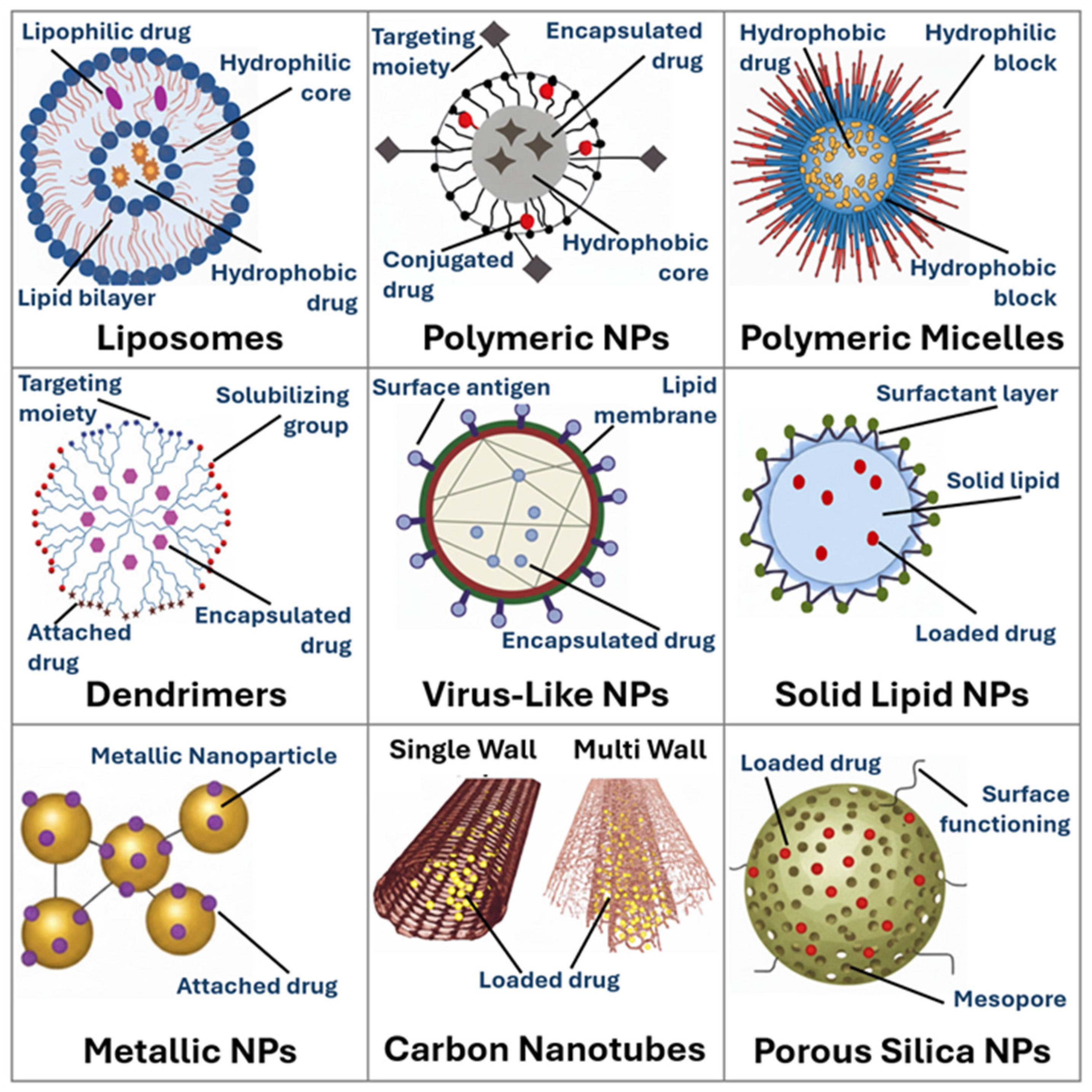 Bioengineering 13 00363 g001 Bioengineering 13 00363 g001