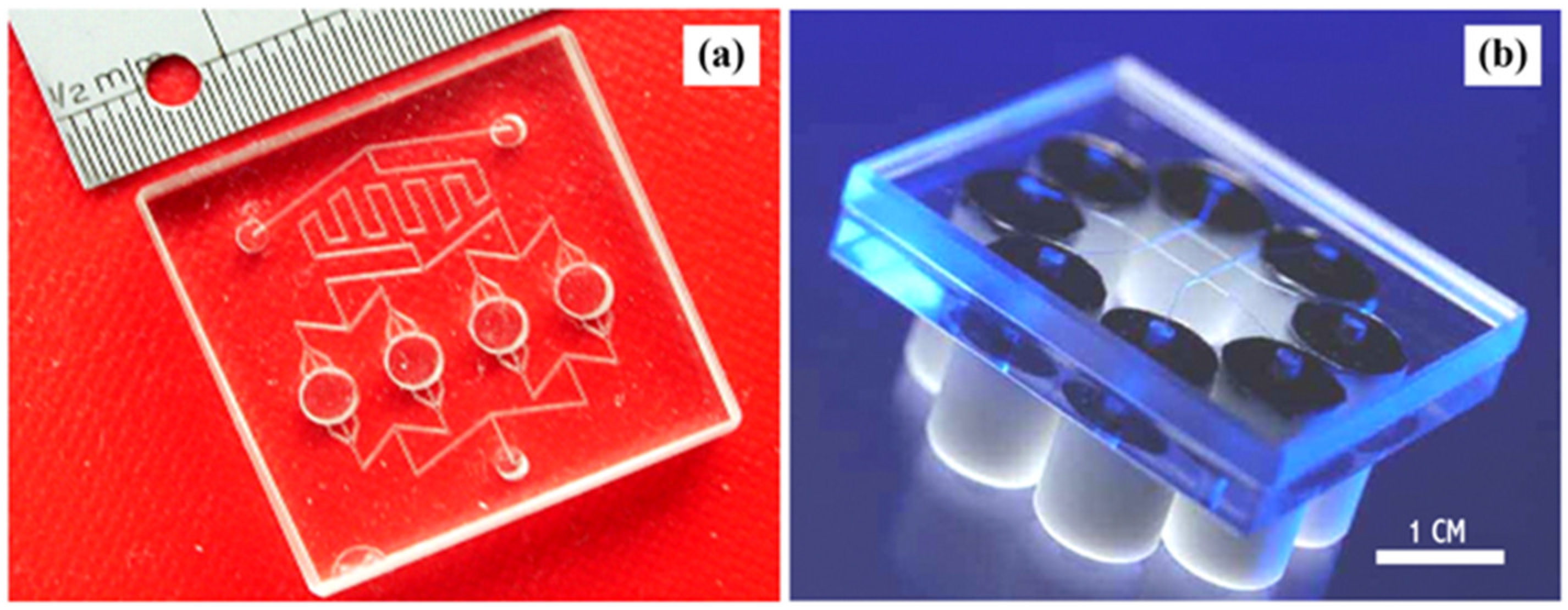 Bioengineering 13 00363 g002 Bioengineering 13 00363 g002