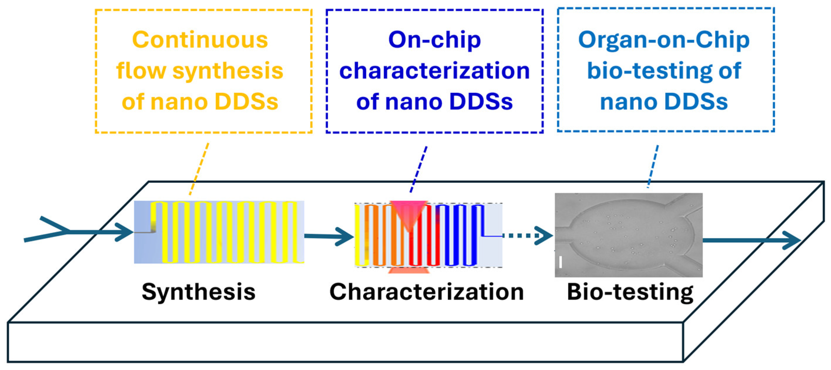 Bioengineering 13 00363 g006 Bioengineering 13 00363 g006