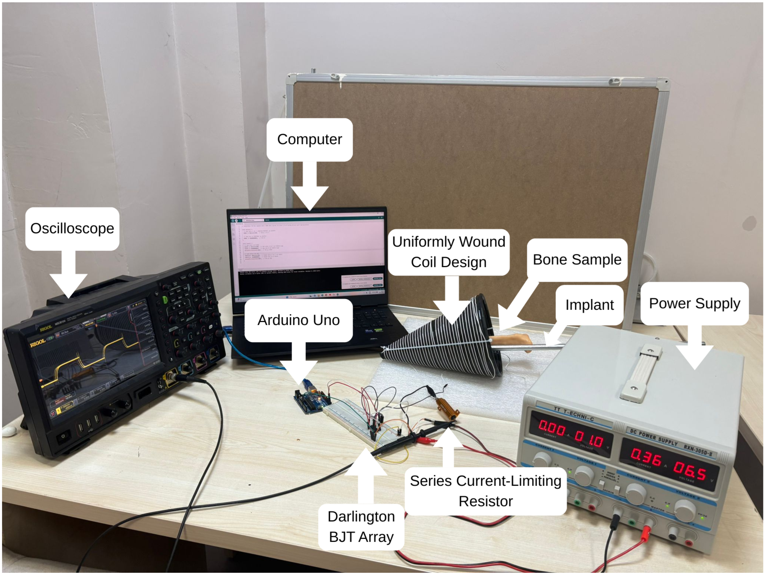 Bioengineering 13 00364 g014 Bioengineering 13 00364 g014