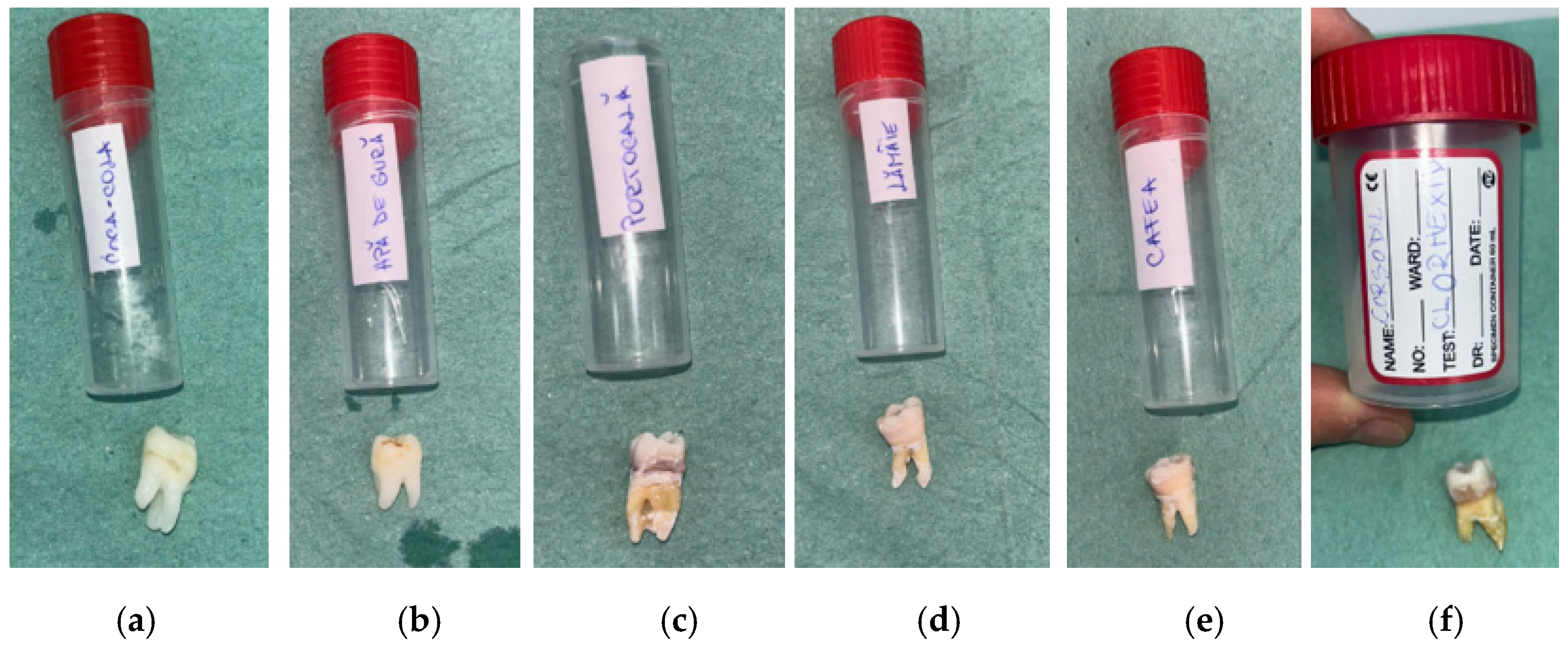 Bioengineering 13 00369 g001