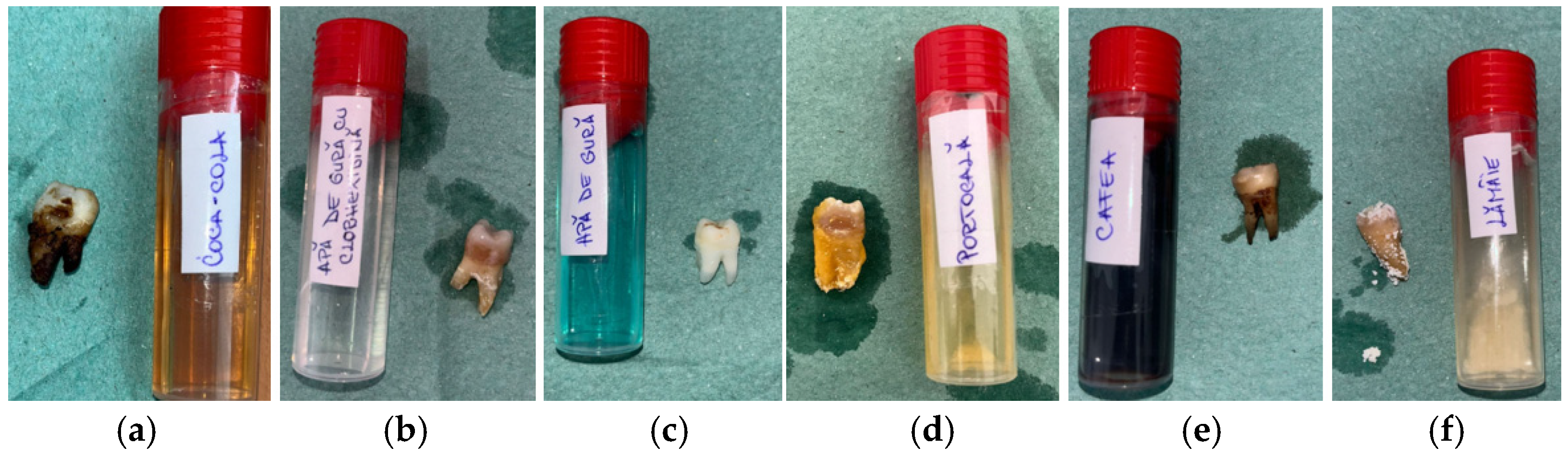 Bioengineering 13 00369 g002