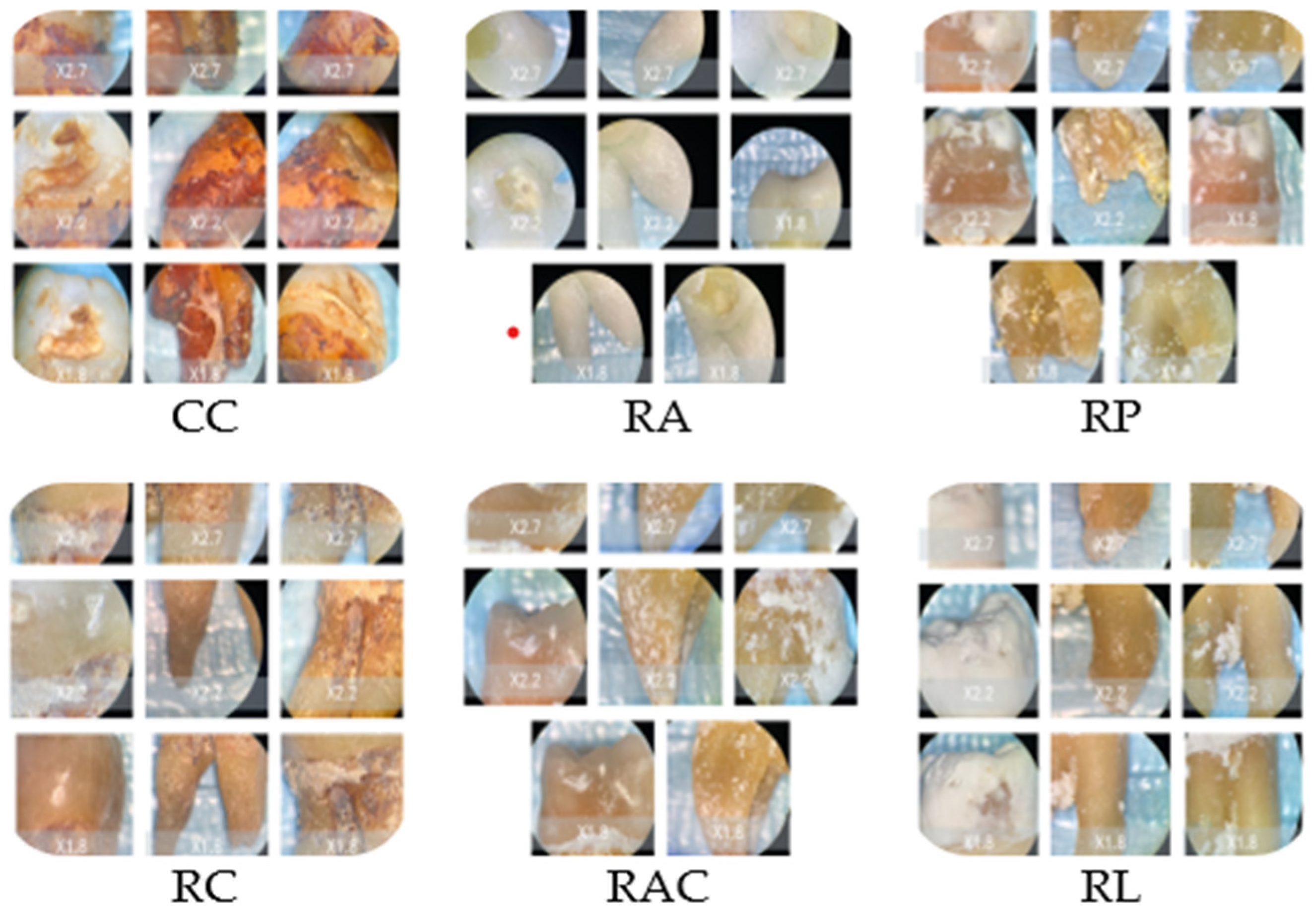 Bioengineering 13 00369 g003