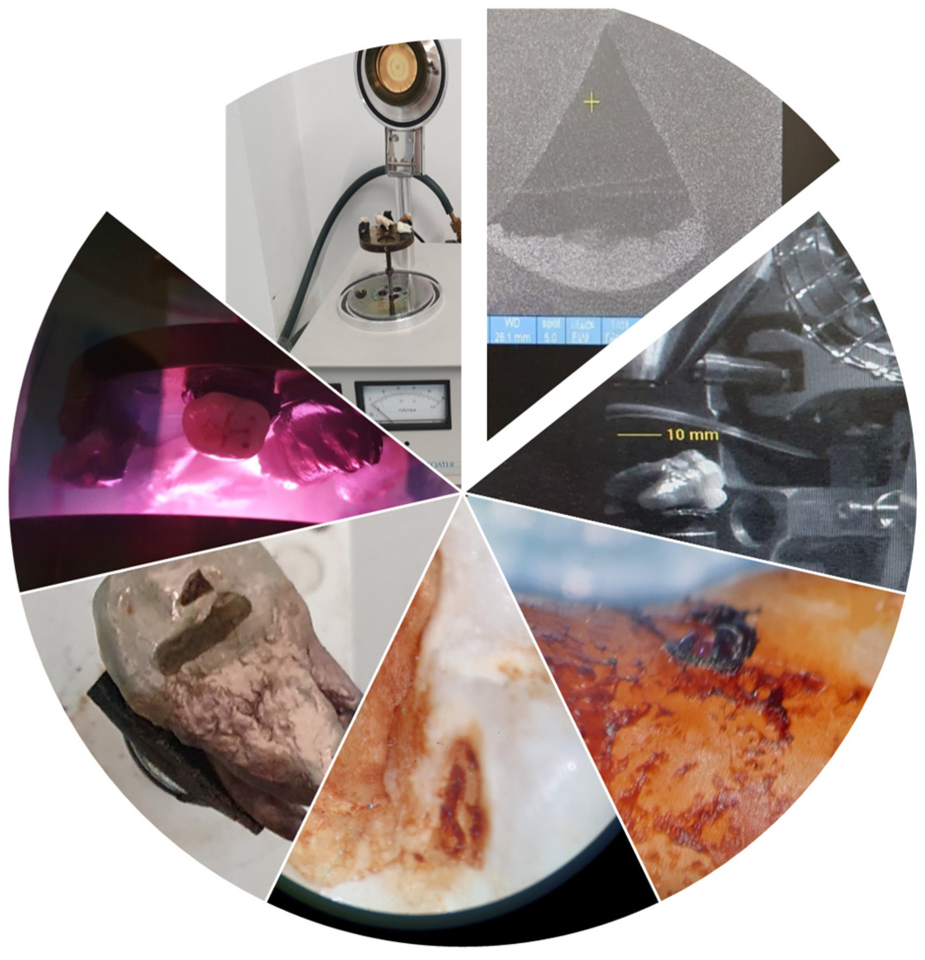 Bioengineering 13 00369 g004