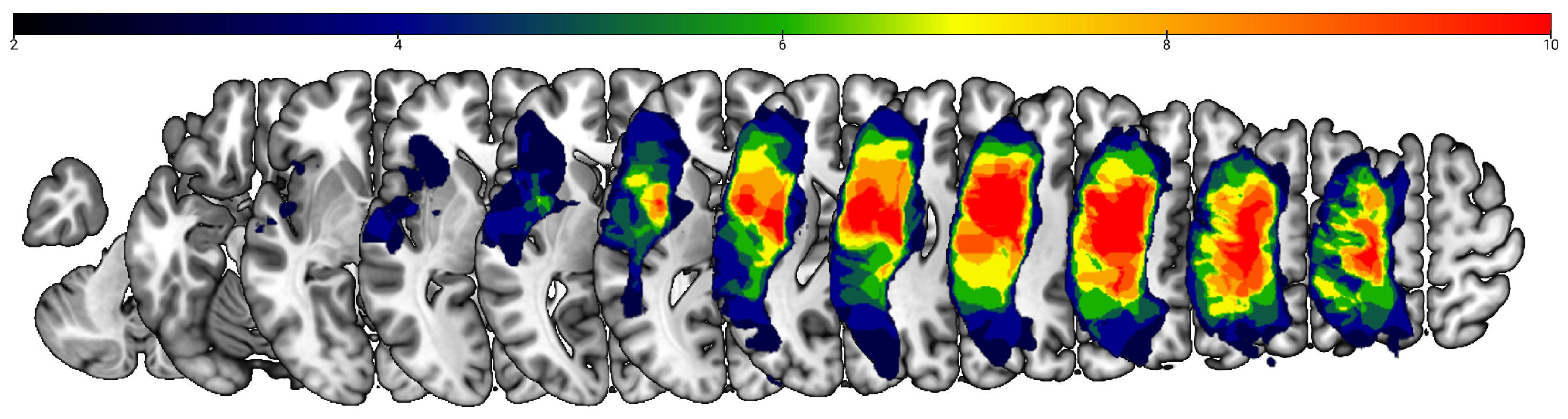 Bioengineering 13 00372 g003