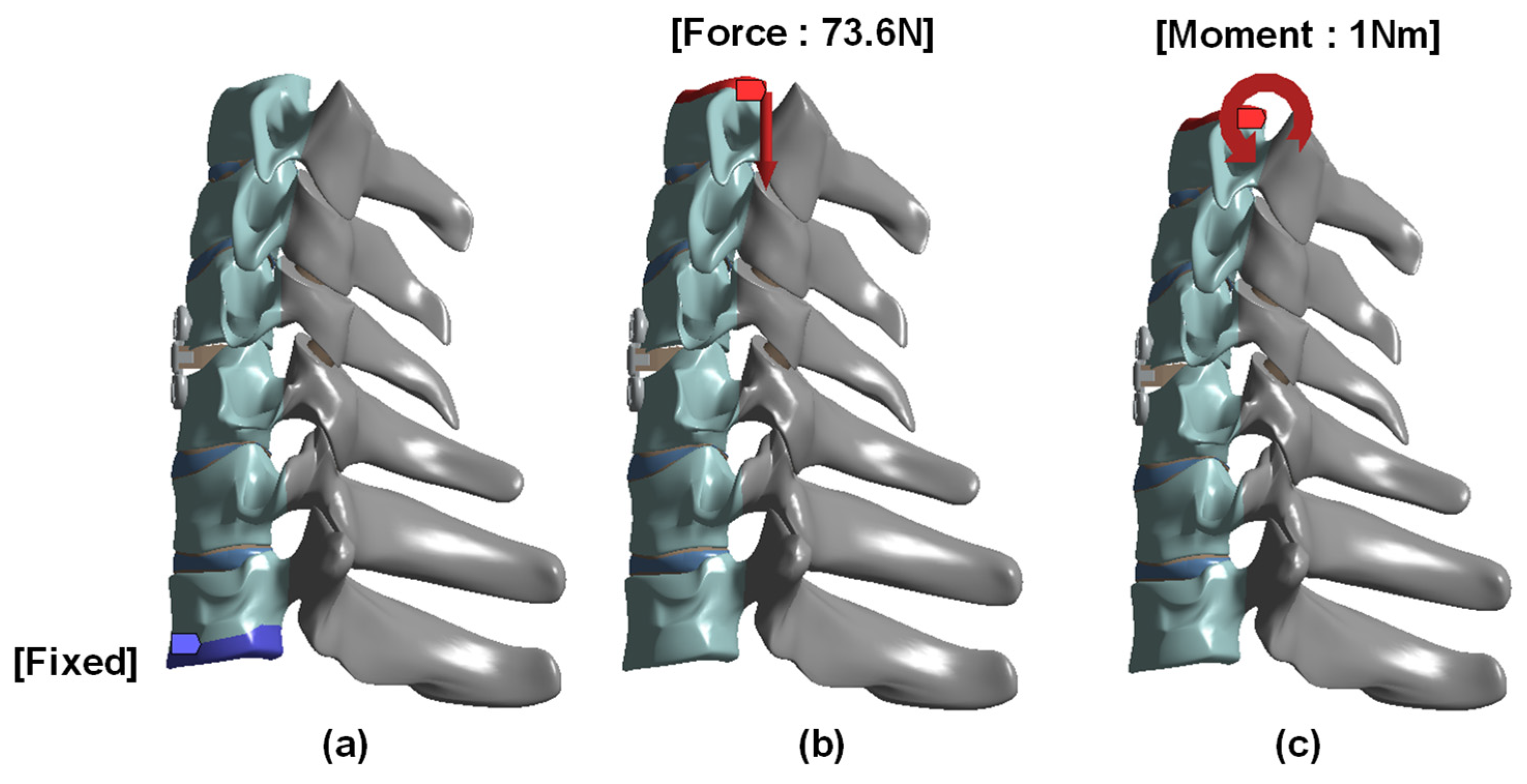 Bioengineering 13 00375 g003