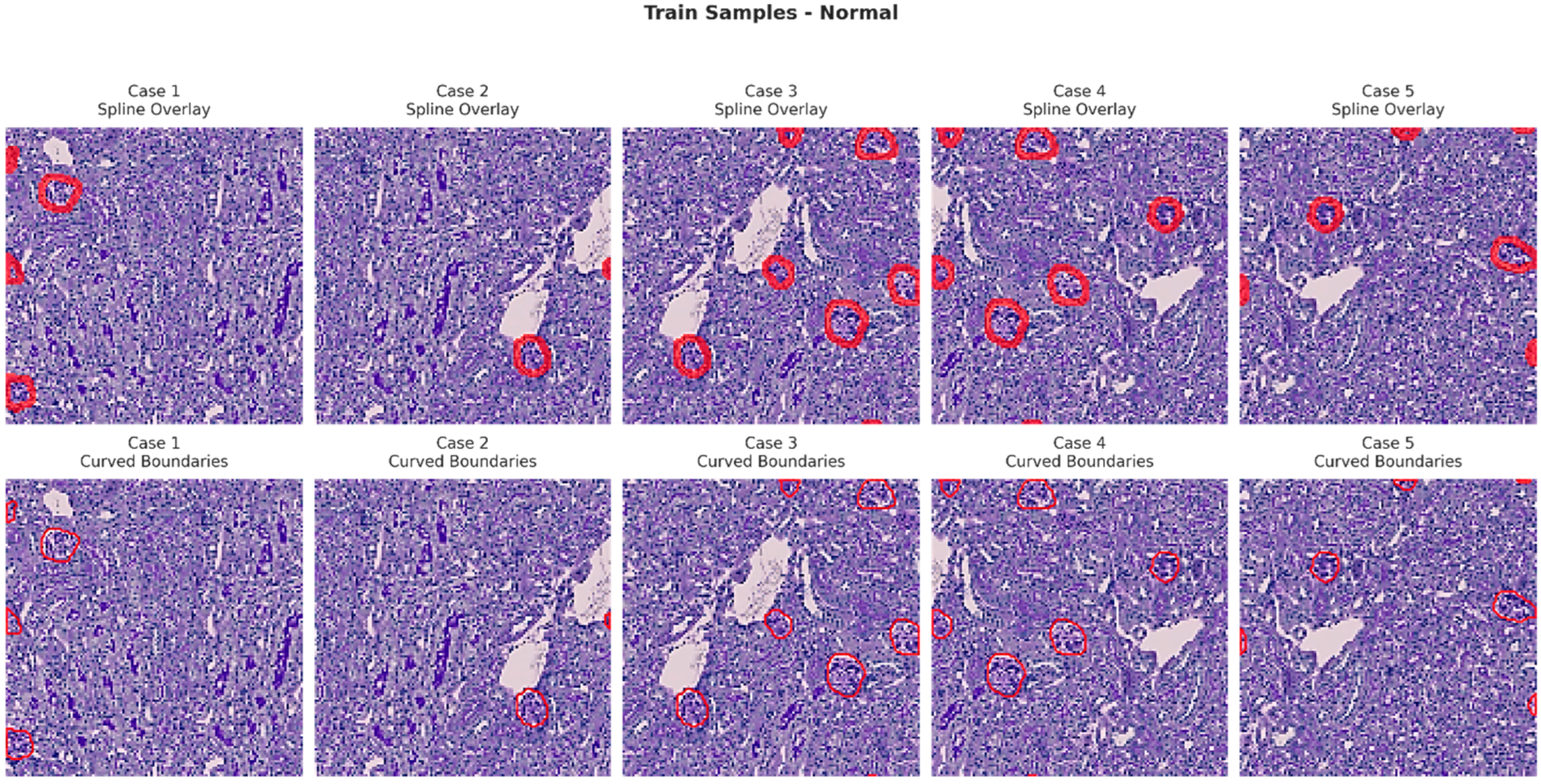 Bioengineering 13 00376 g006
